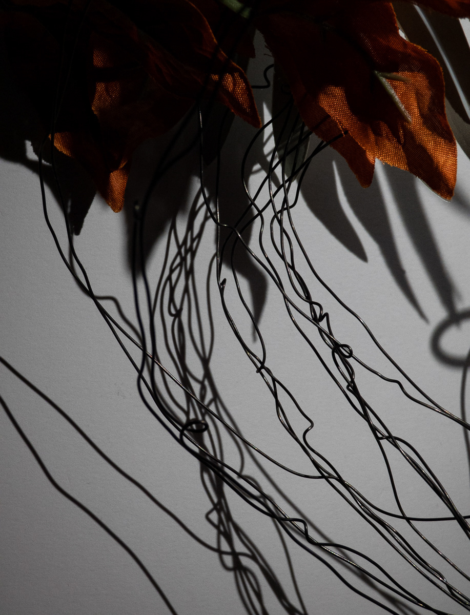 Wires and Leaves