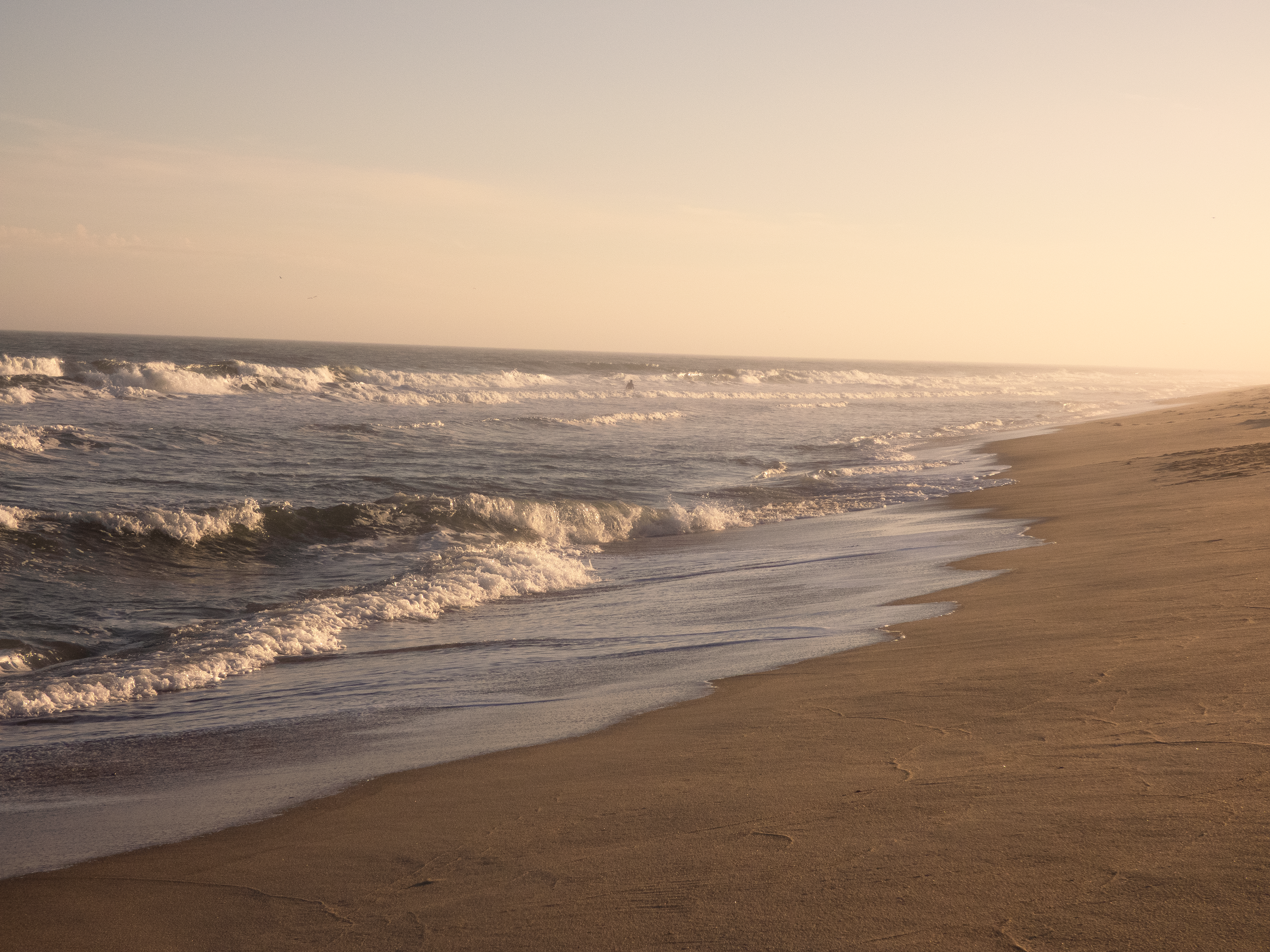 The beach in the winter