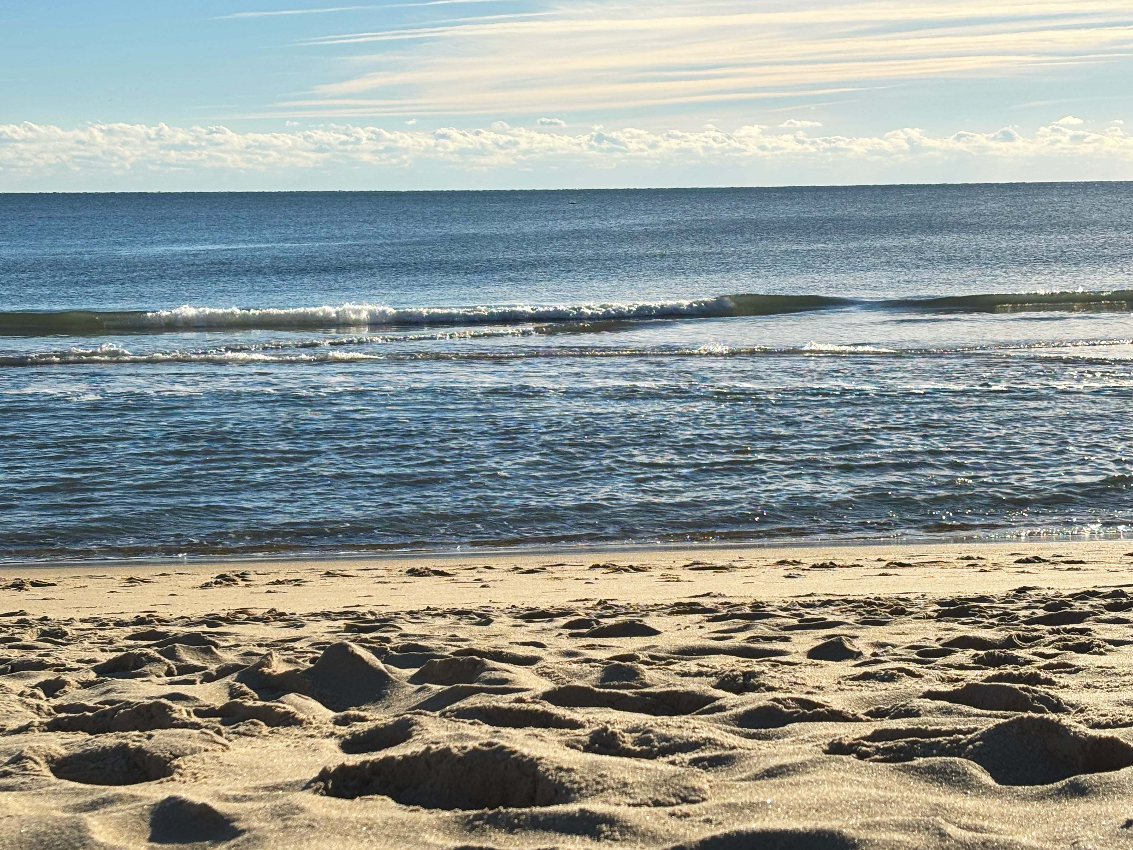 The beach in the winter