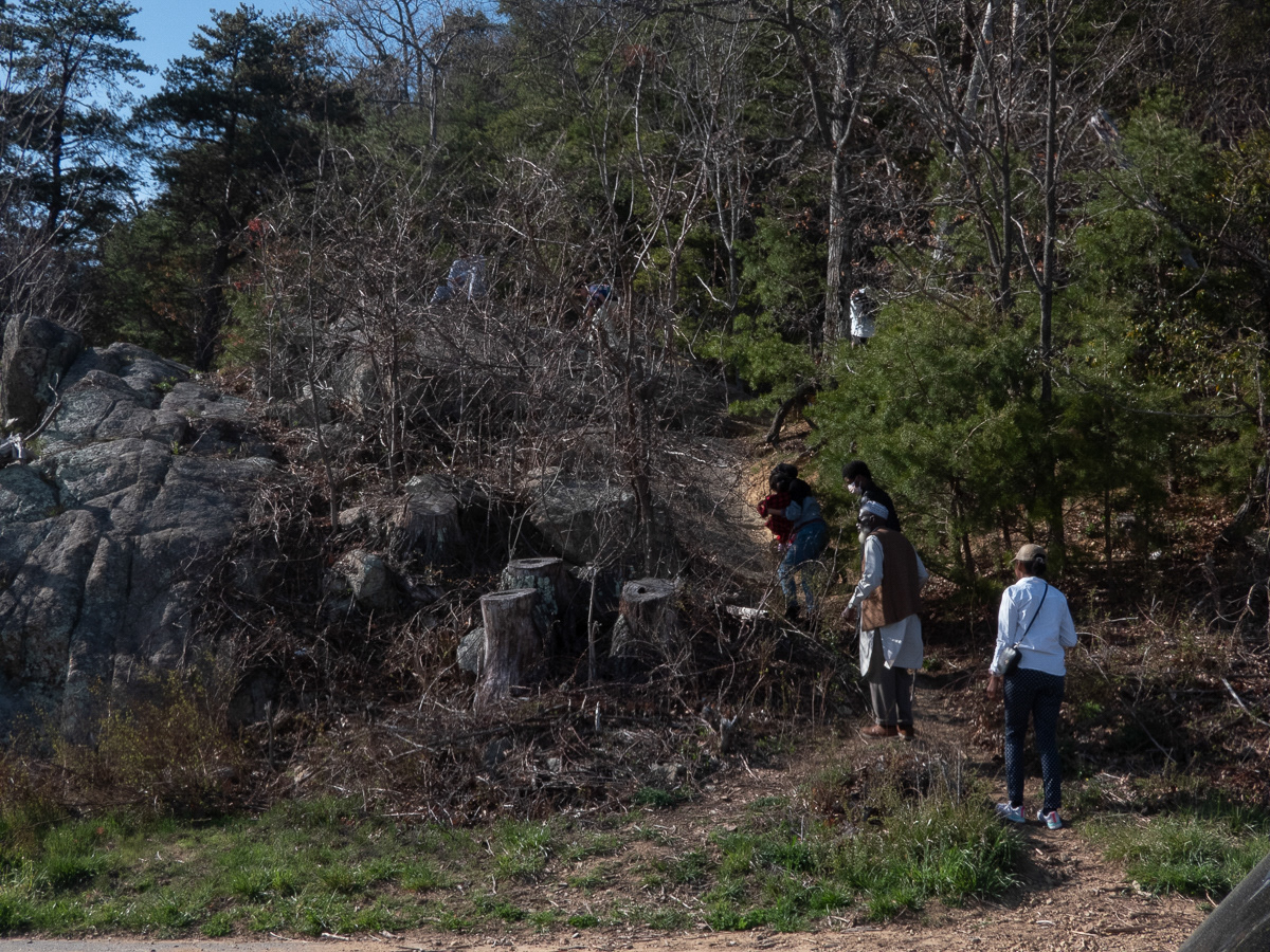 Family climbing up a path