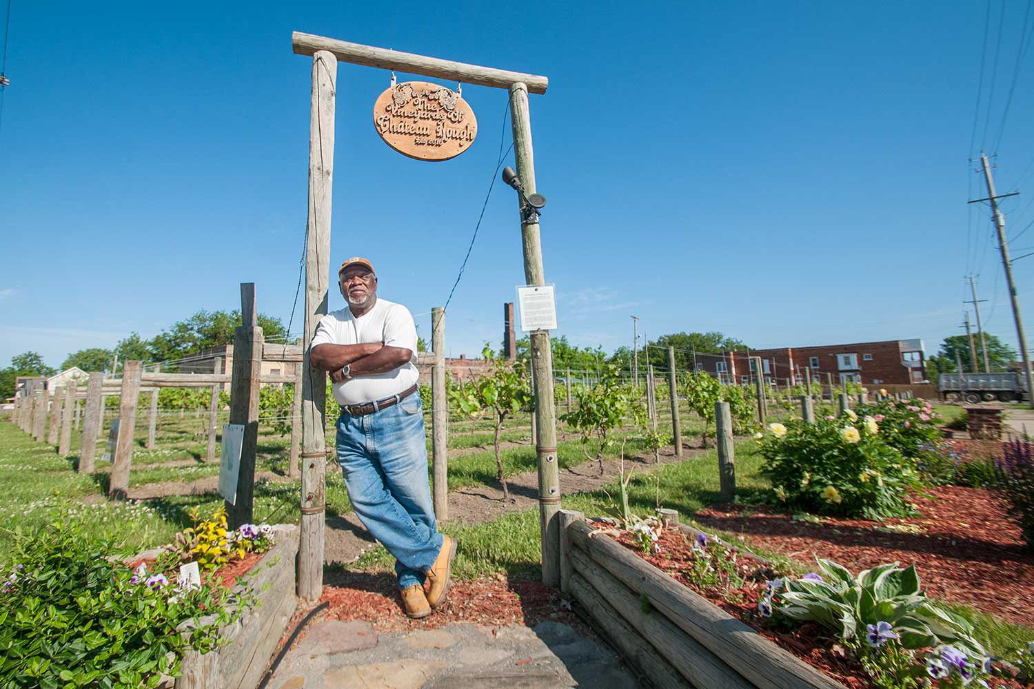 Mansfield Frazier - the Vineyards of Château Hough