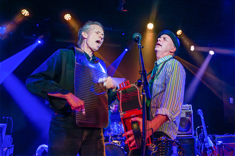 Cats on Holiday at Crop Rocks