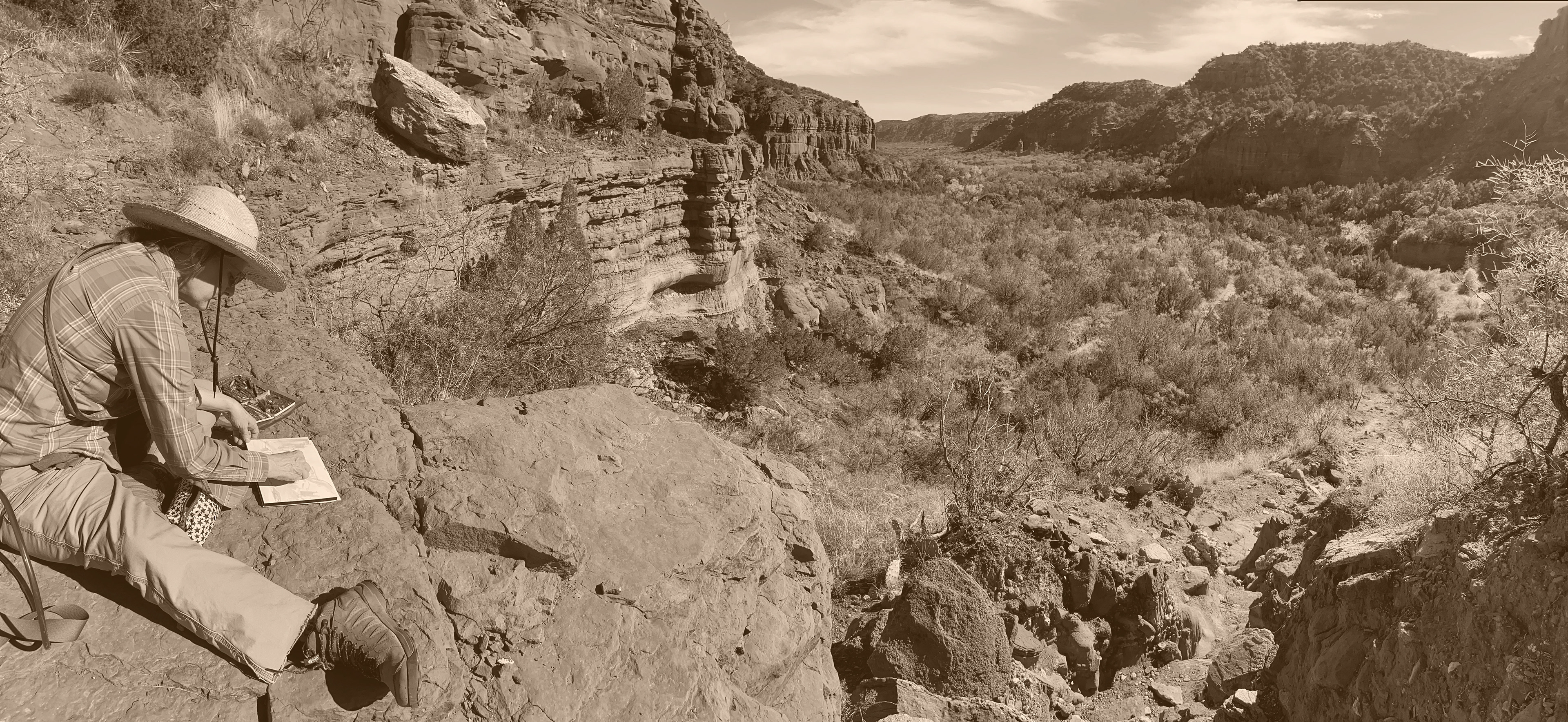 Lisa Rawlinson drawing at Caprock Canyons State Park, Texas, in 2023.