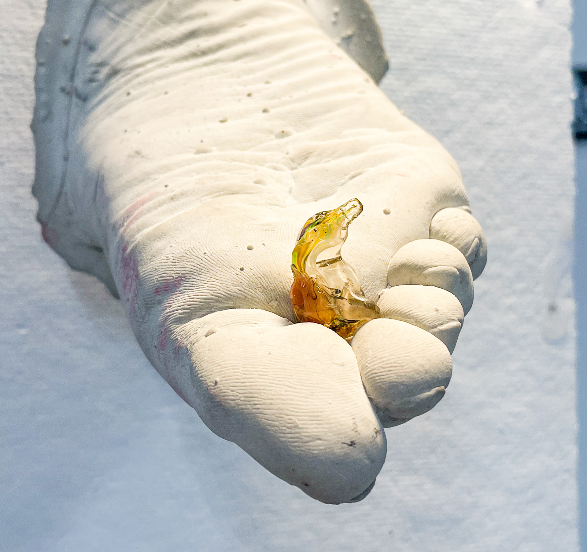 Foot Flies