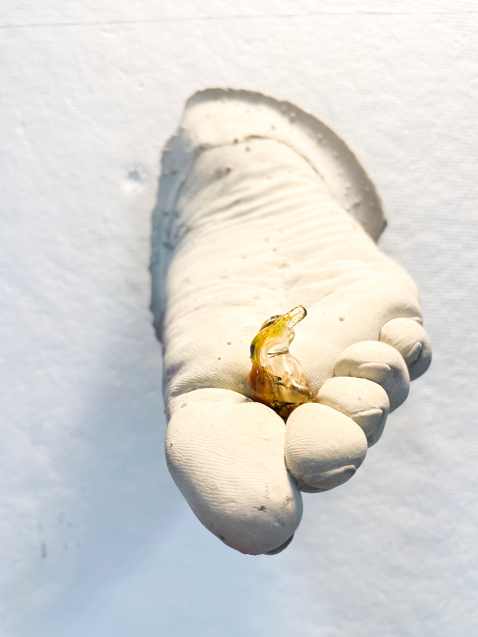 Foot Flies