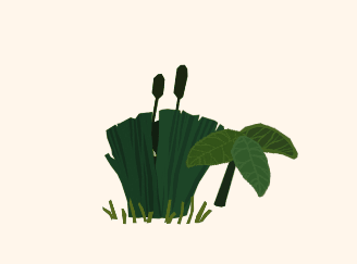 Background Interaction 01