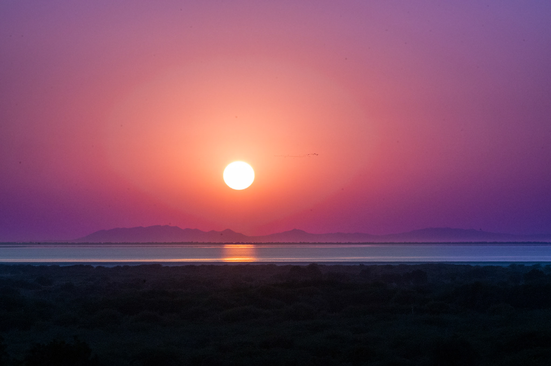 GUJARAT