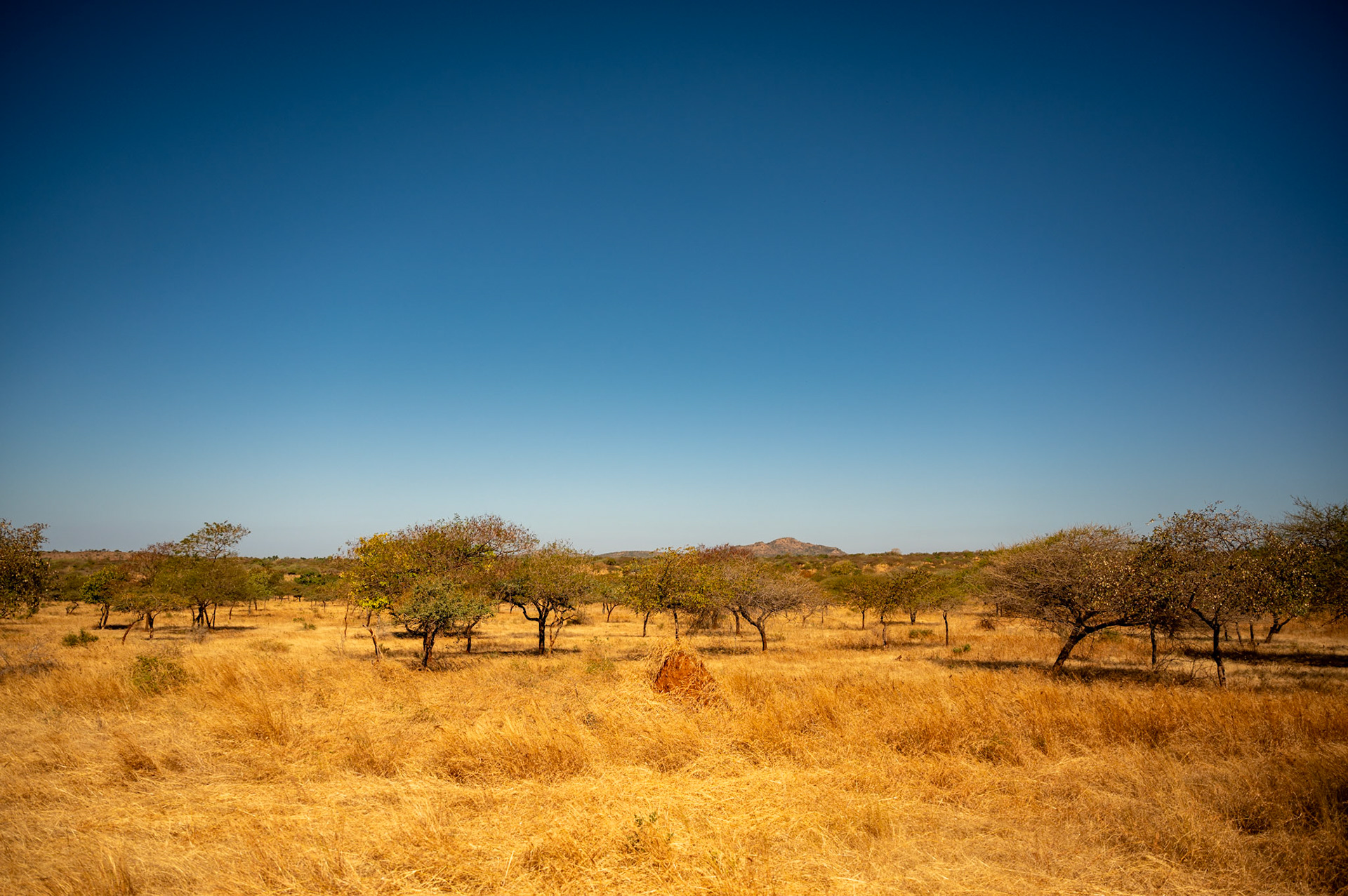 GUJARAT
