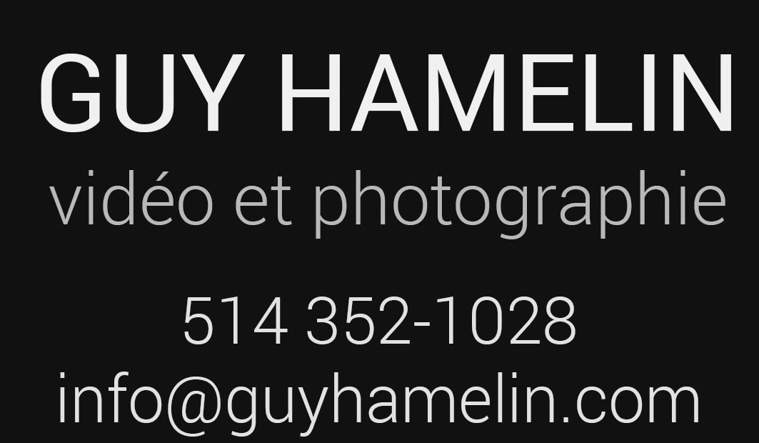 Guy Hamelin