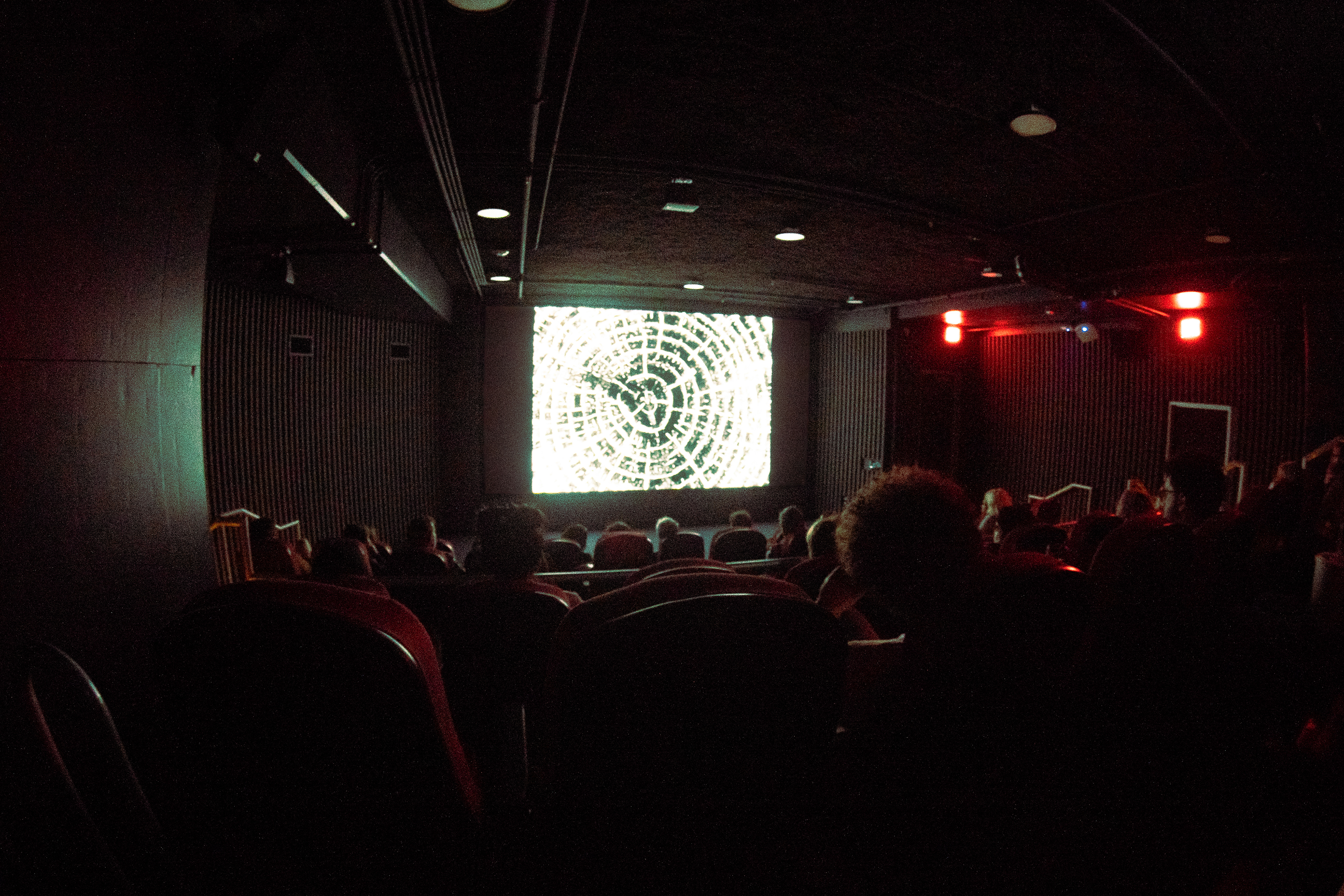 Screening of Another Rapid Event (2024) Directed by Daniel Murphy.
