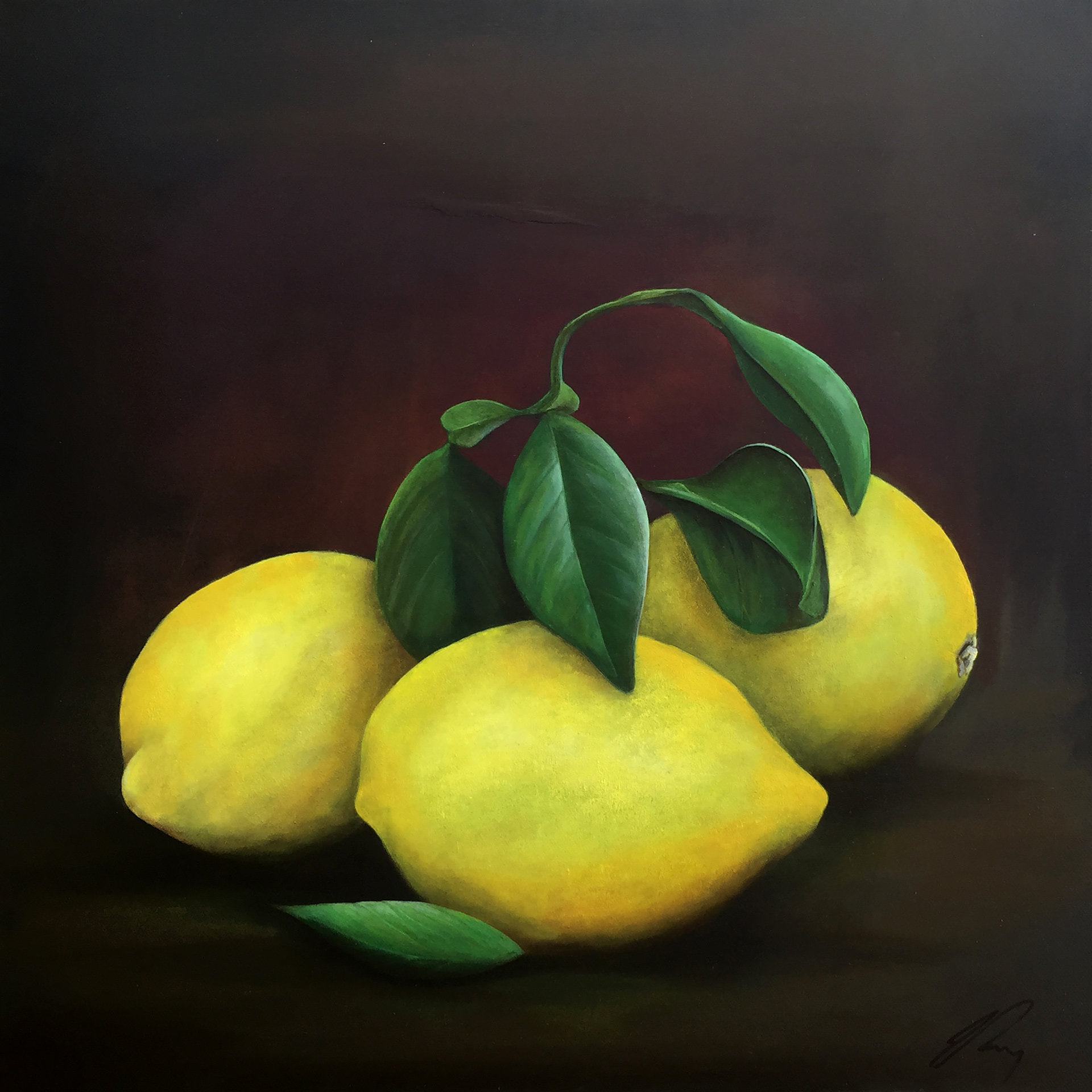3 Lemons. Original oil painting by James Rooney. 50x50cm