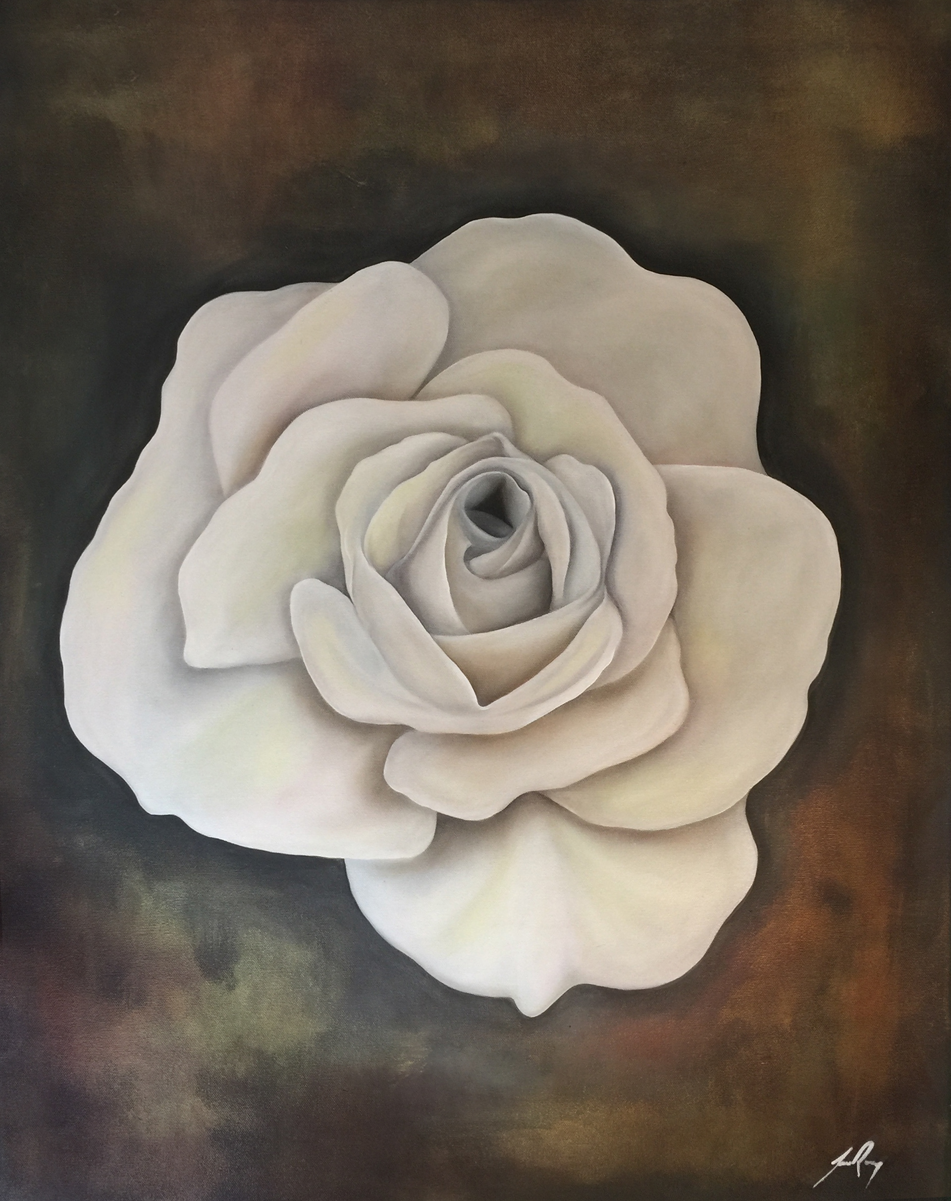 White Rose. Oil painting by James Rooney. 61x77cm