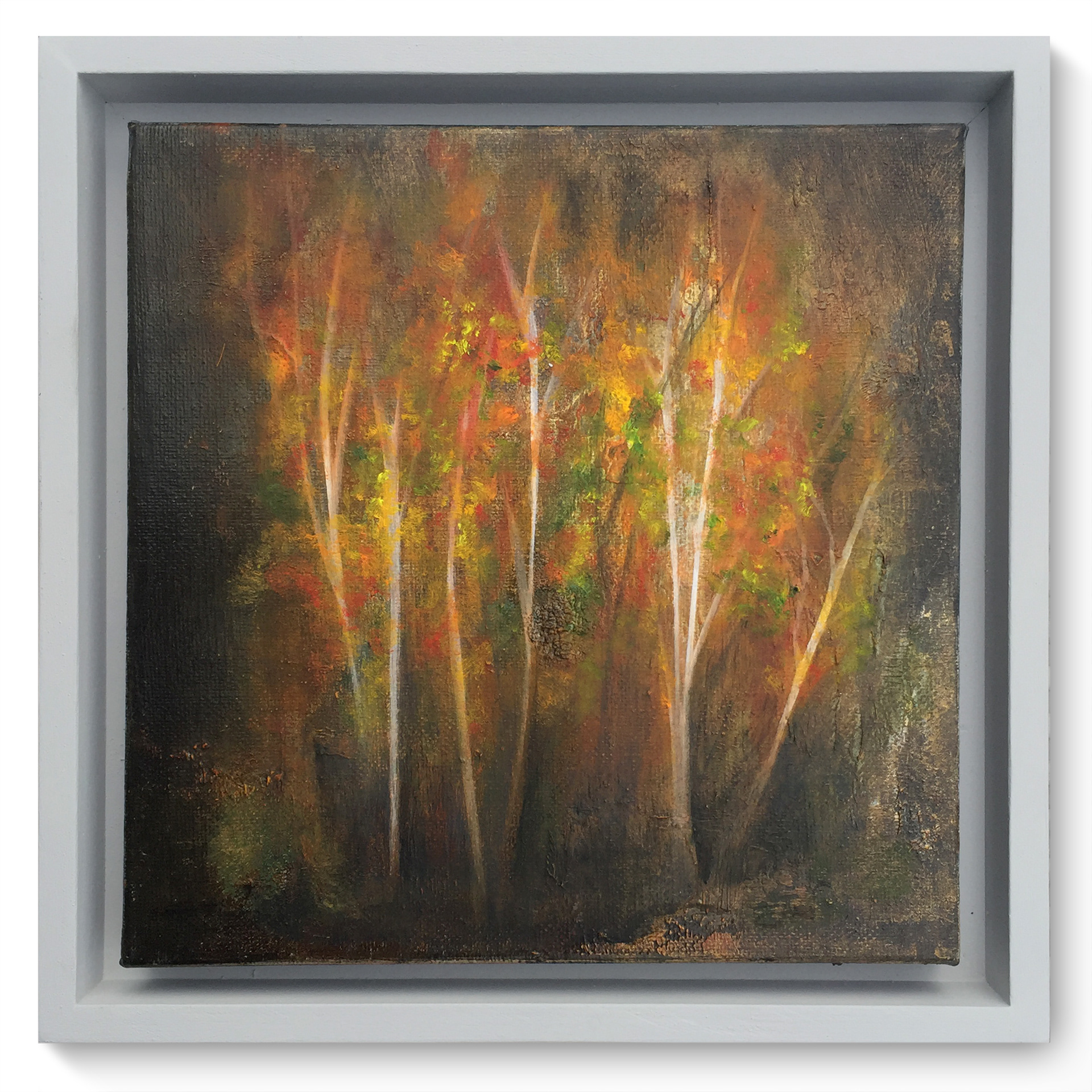 Golden Forest. Original oil painting by James Rooney. 19.5x19.5cm