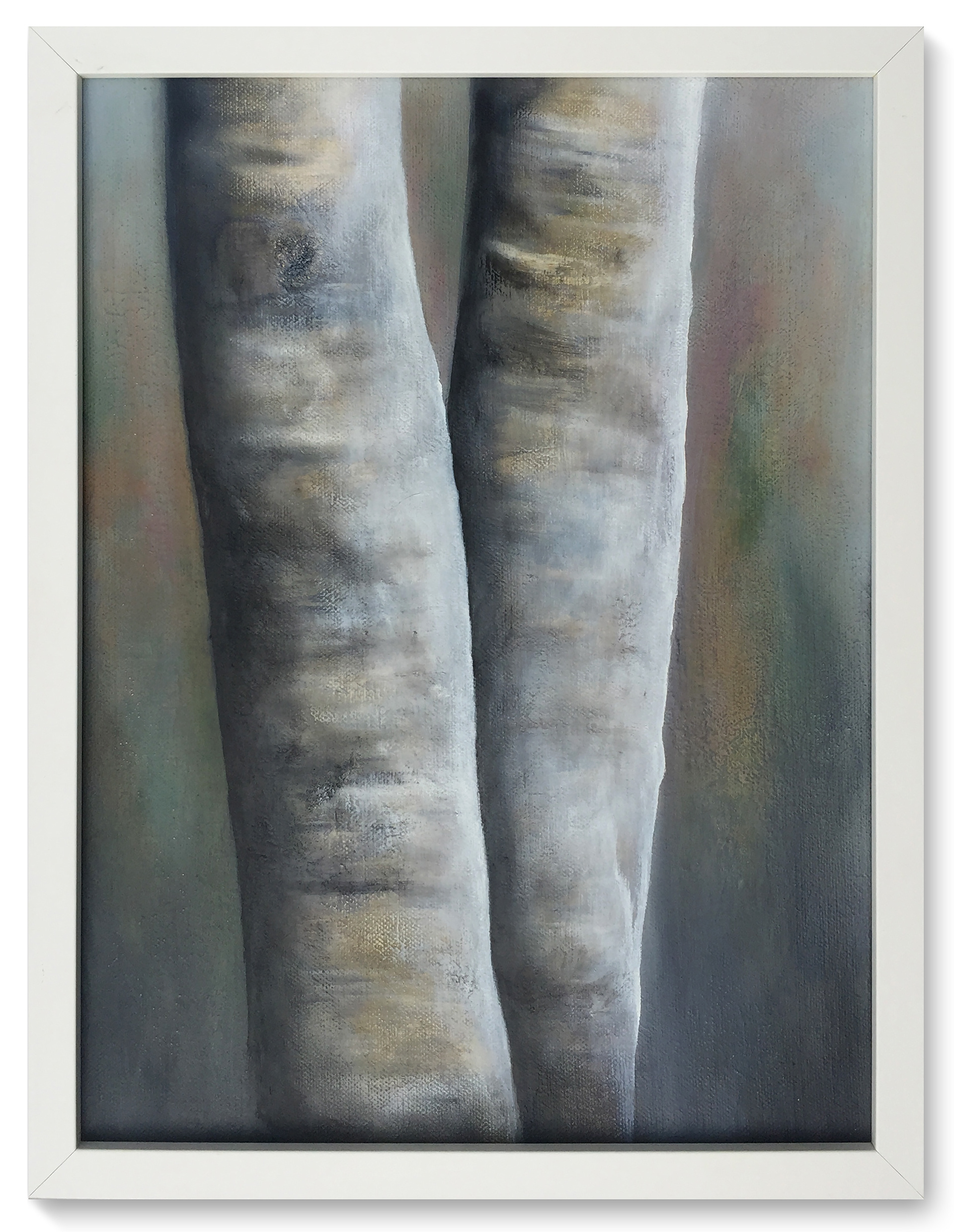 2 Birch Trunks. Painting by James Rooney