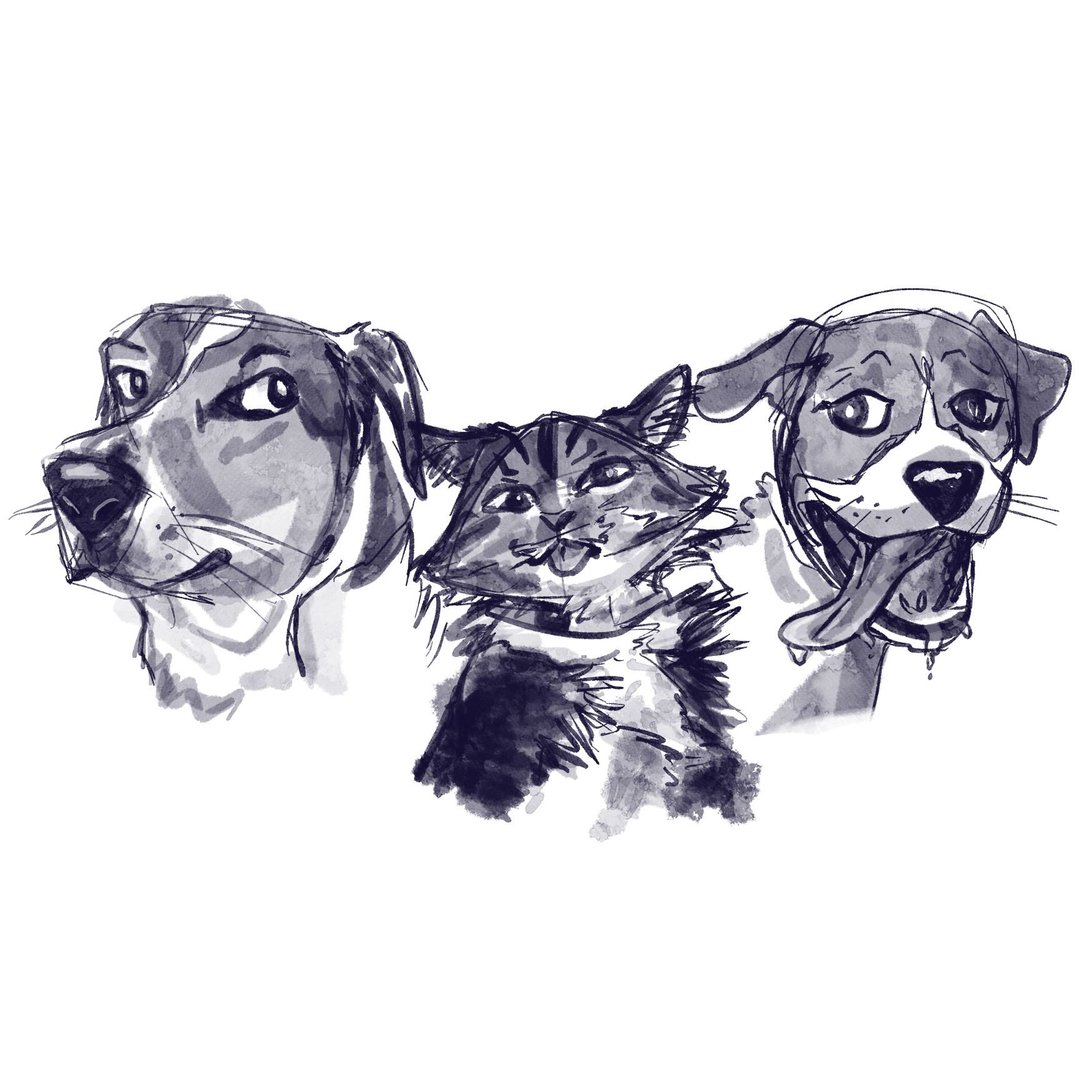 2022: Pet Portraits - Google, Ellie and Becks