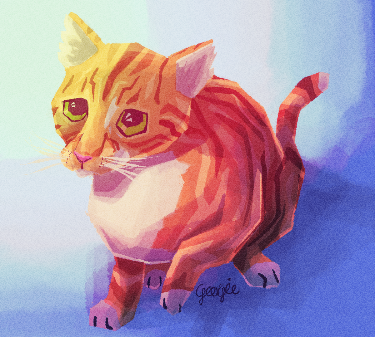 2024: My sister's cat, Mabel