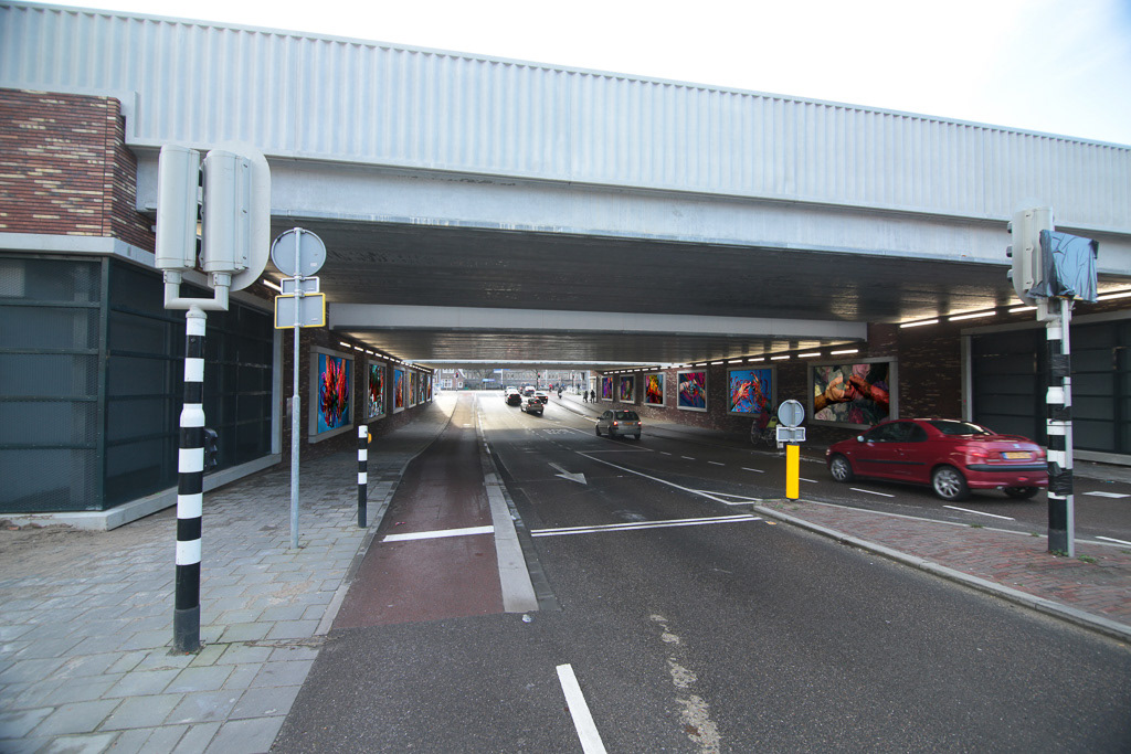 Trainstation Utrecht Vaarstche Rijn