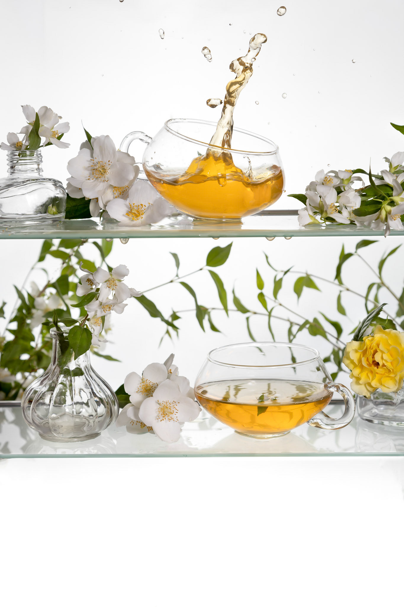 A Cup of green tea and white Jasmine flowers.