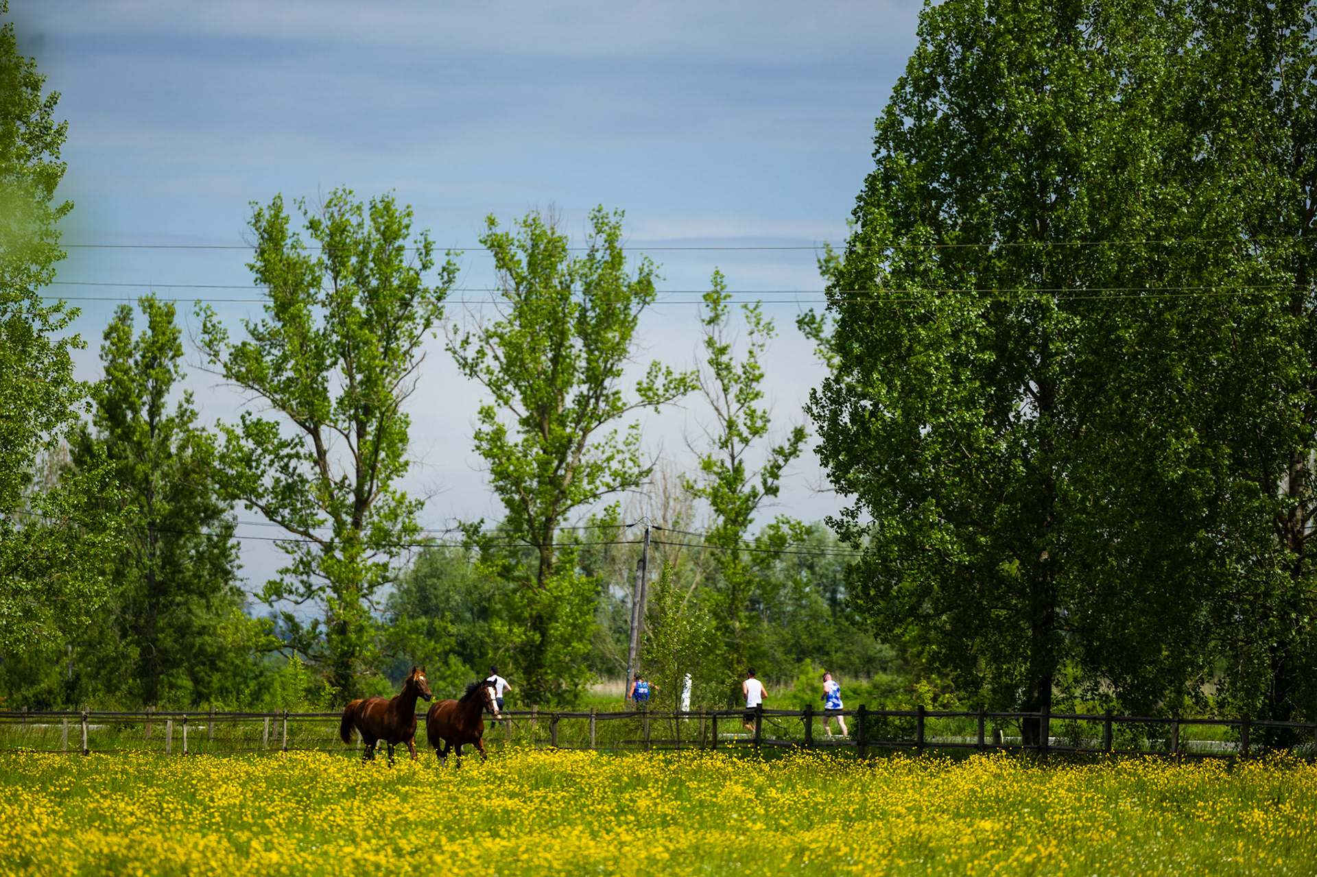Marathon des Deux Rives 2025