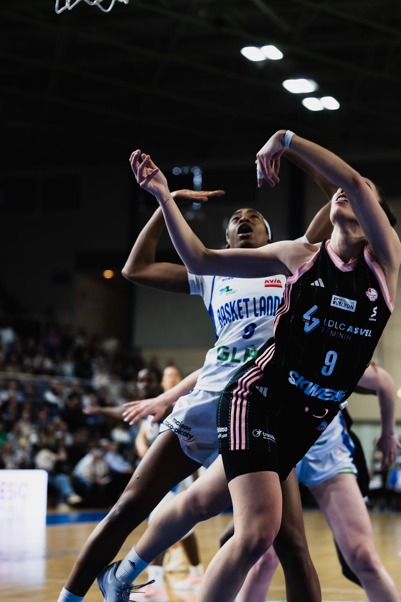Basket Landes - ASVEL