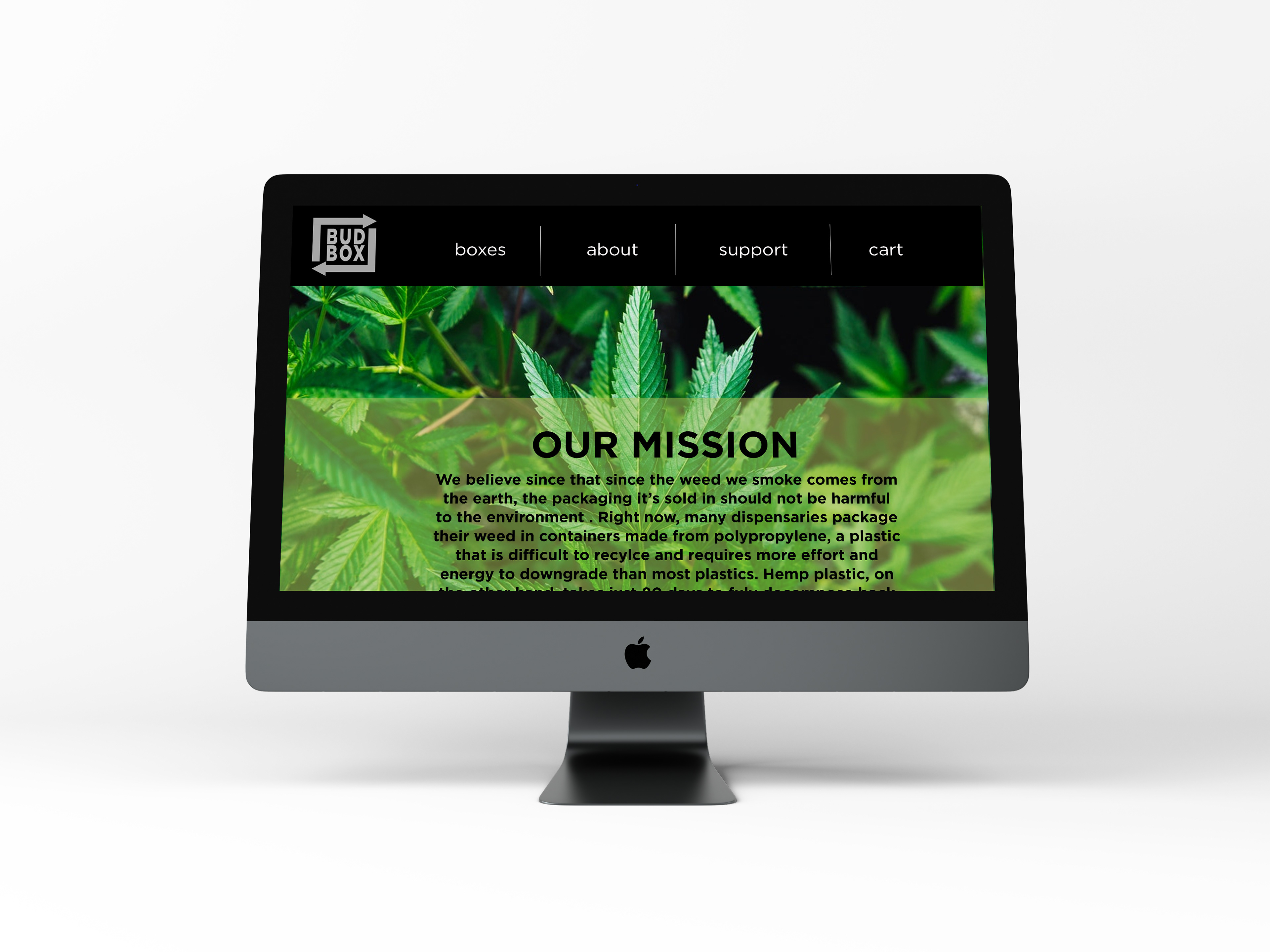 Website mockup