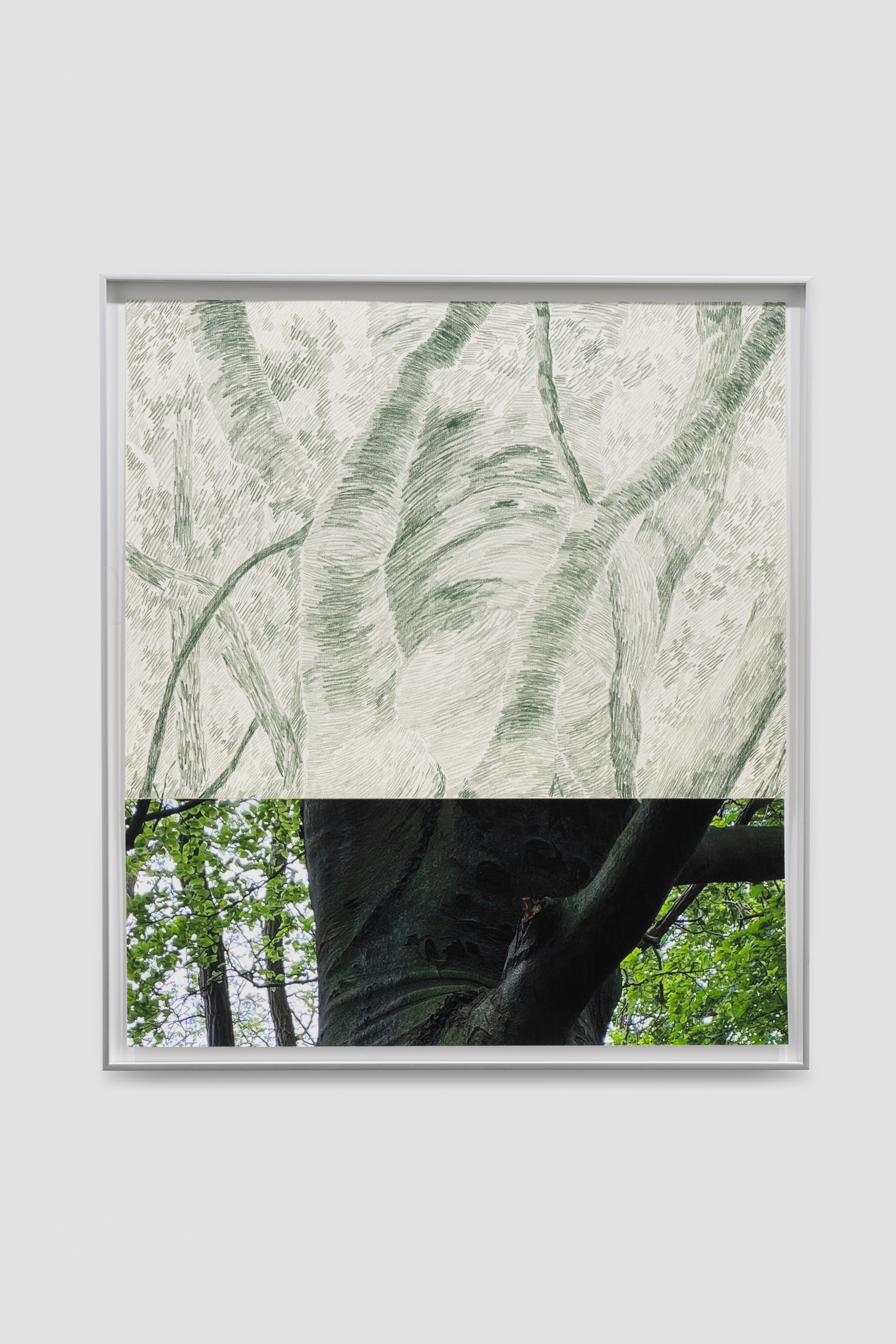 Vera Cortez, Aby IV, pigment print