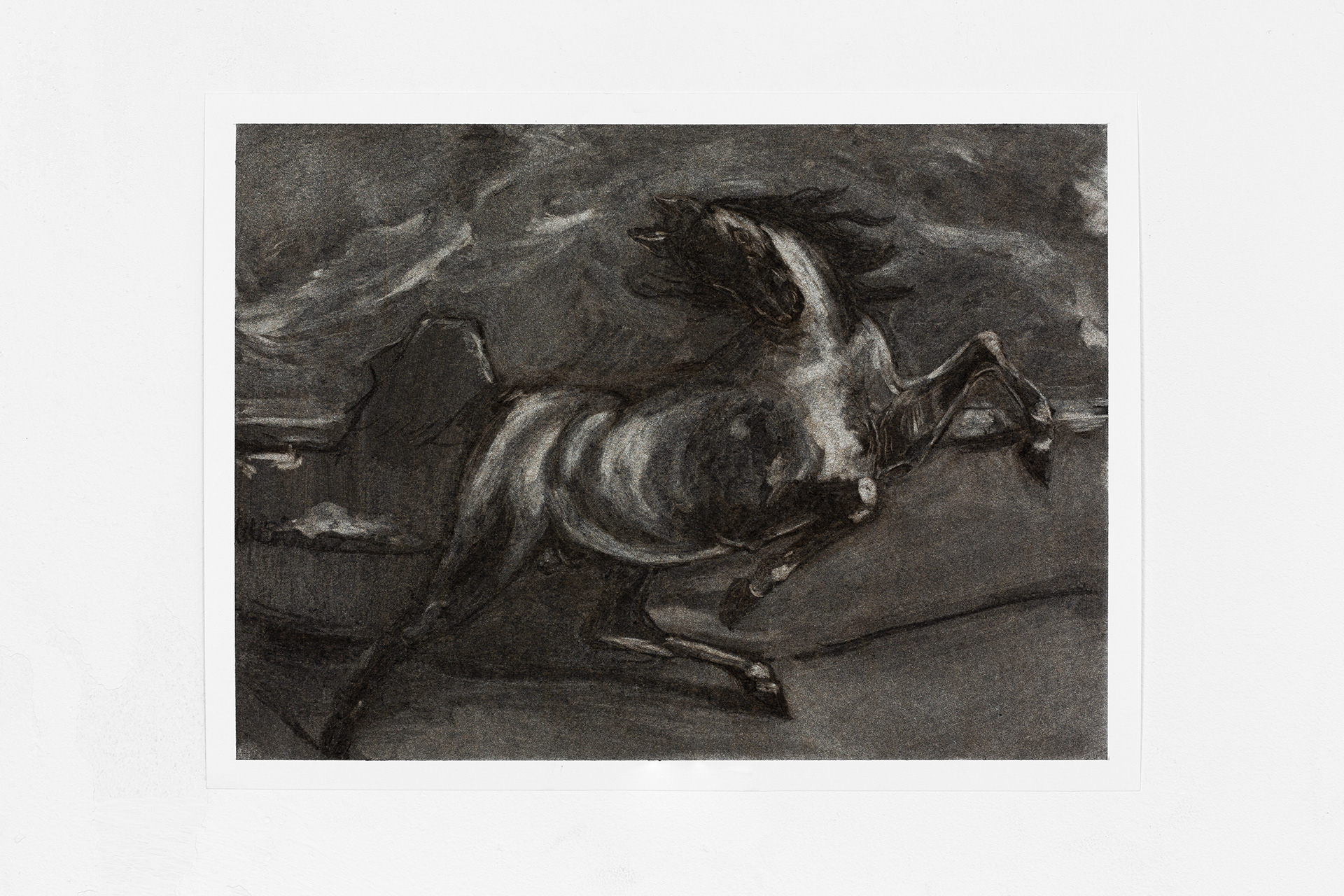 Michael Sullivan, Horse, charcoal on paper
