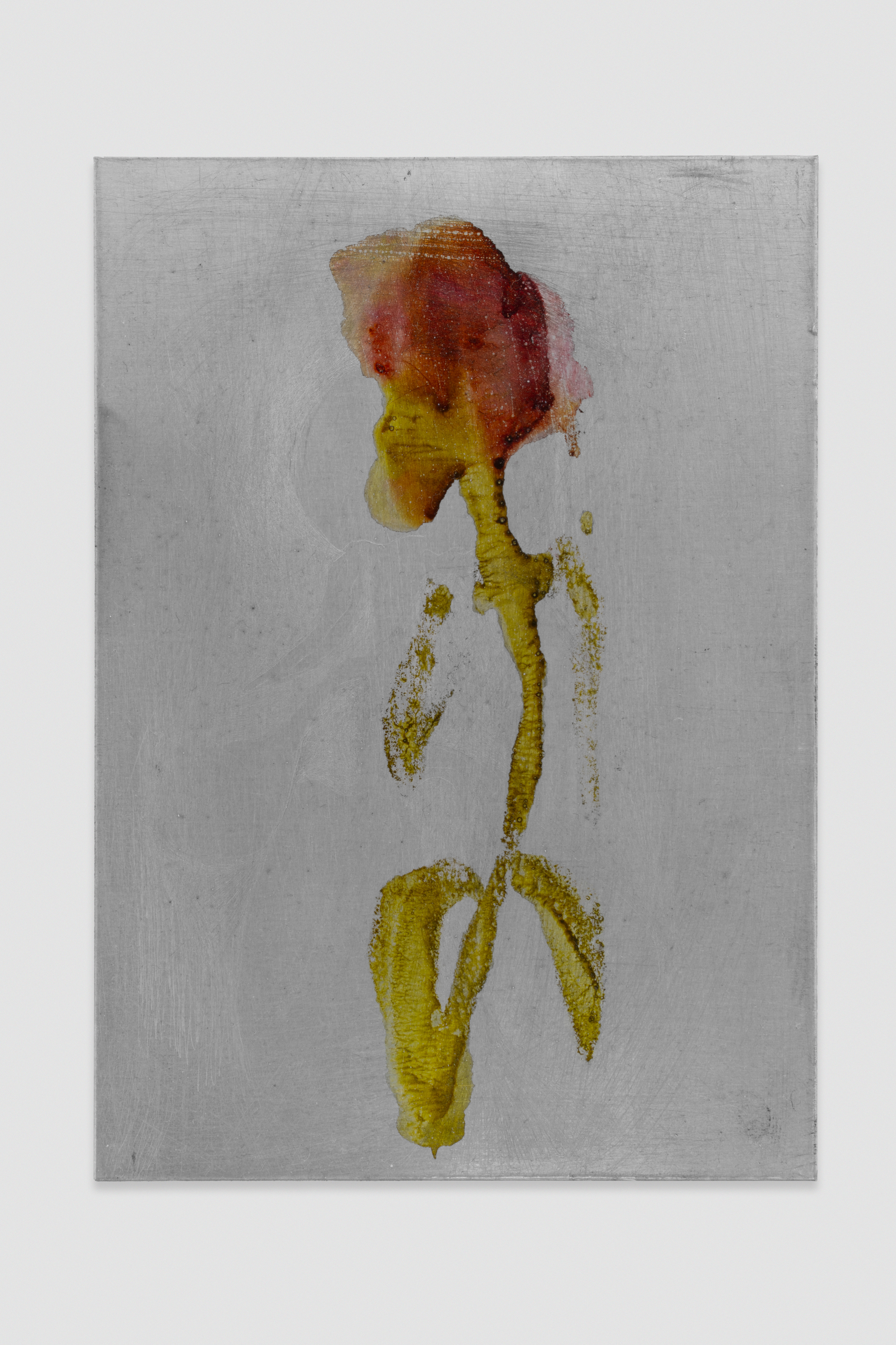 Salome Lübke, gouche on metal