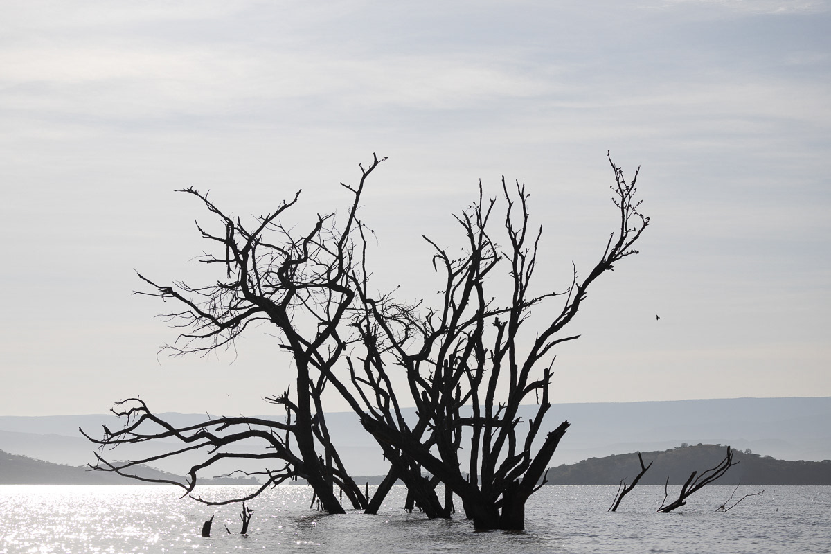 Lac Baringo