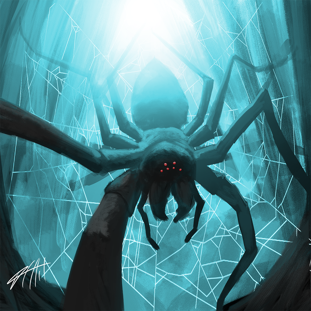 "Spider in the woods"