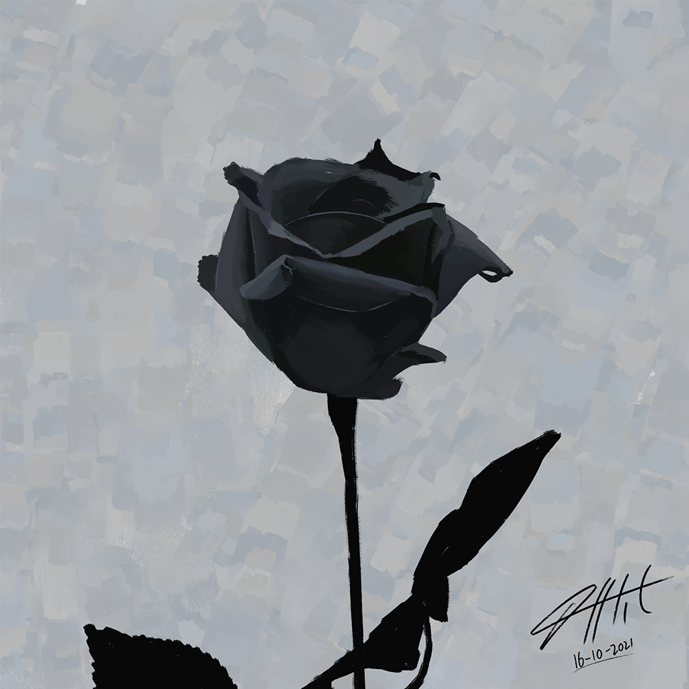 "Black Rose"