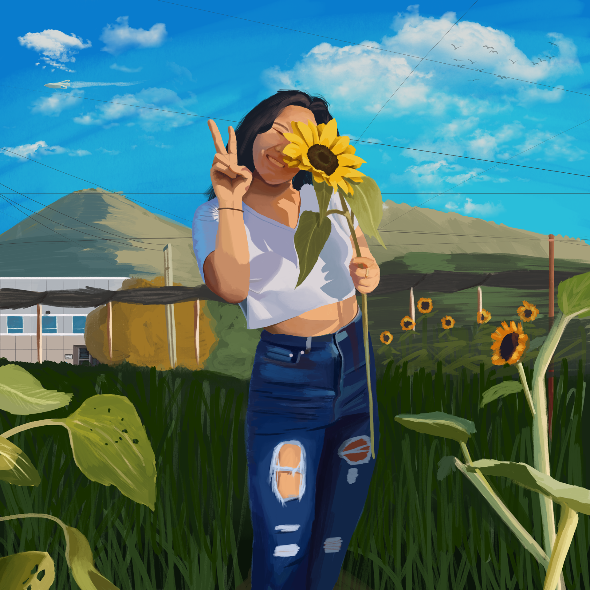 "Sunflower Field"