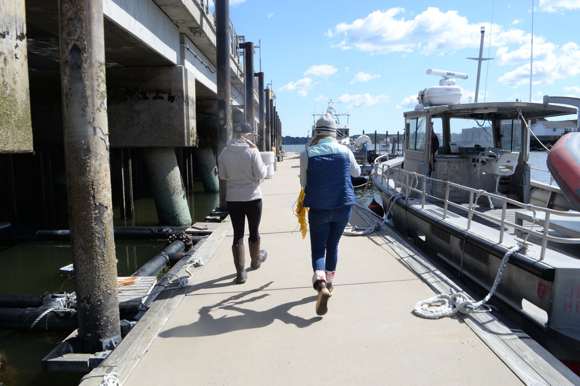 Cold Current Kelp, Krista Rosen + Inga Potter, for reCreative + Co.