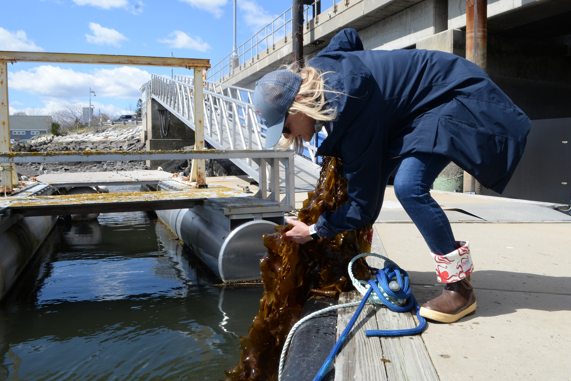 Cold Current Kelp, Inga Potter, for reCreative + Co.