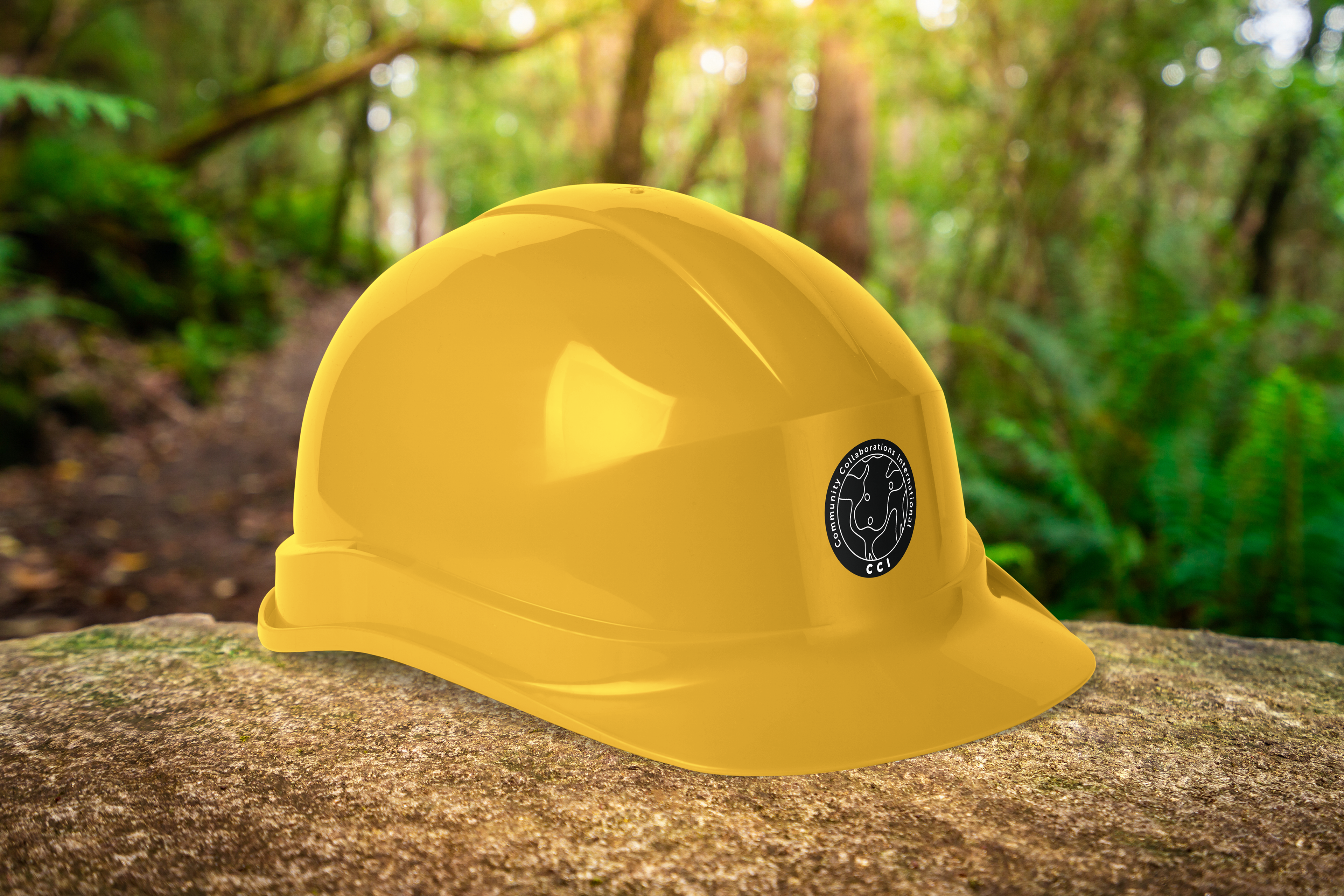 Hard Hat for Construction Projects