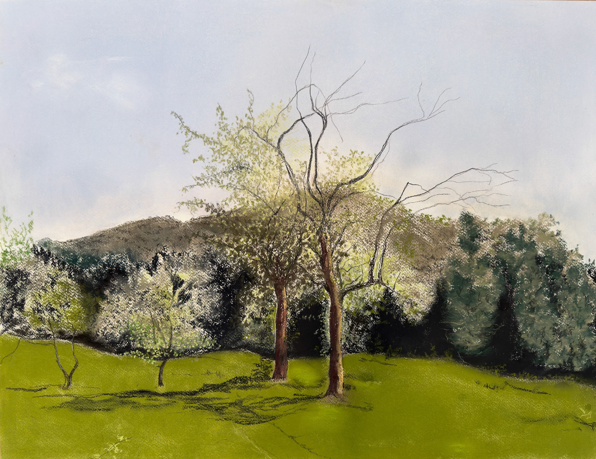Spring