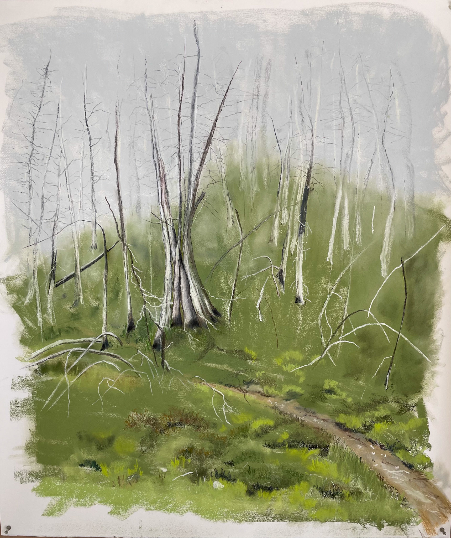 Ghost Trees