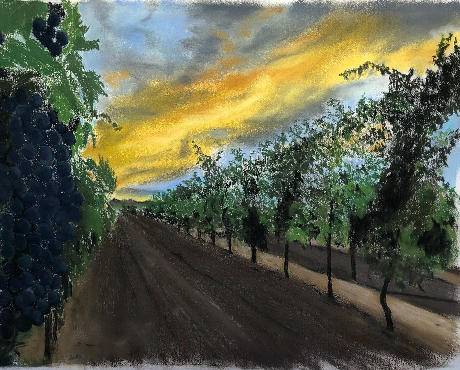 Allison's Vineyard