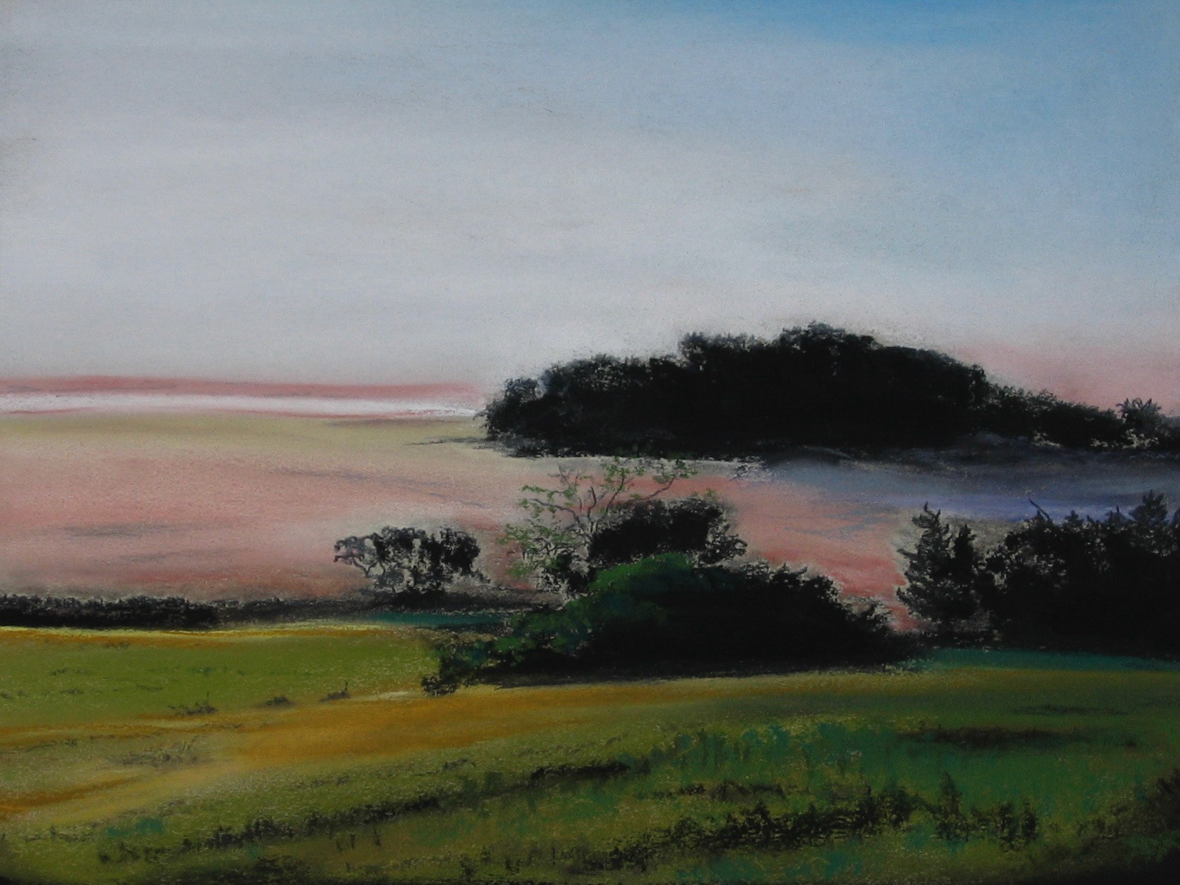 Marsh Land