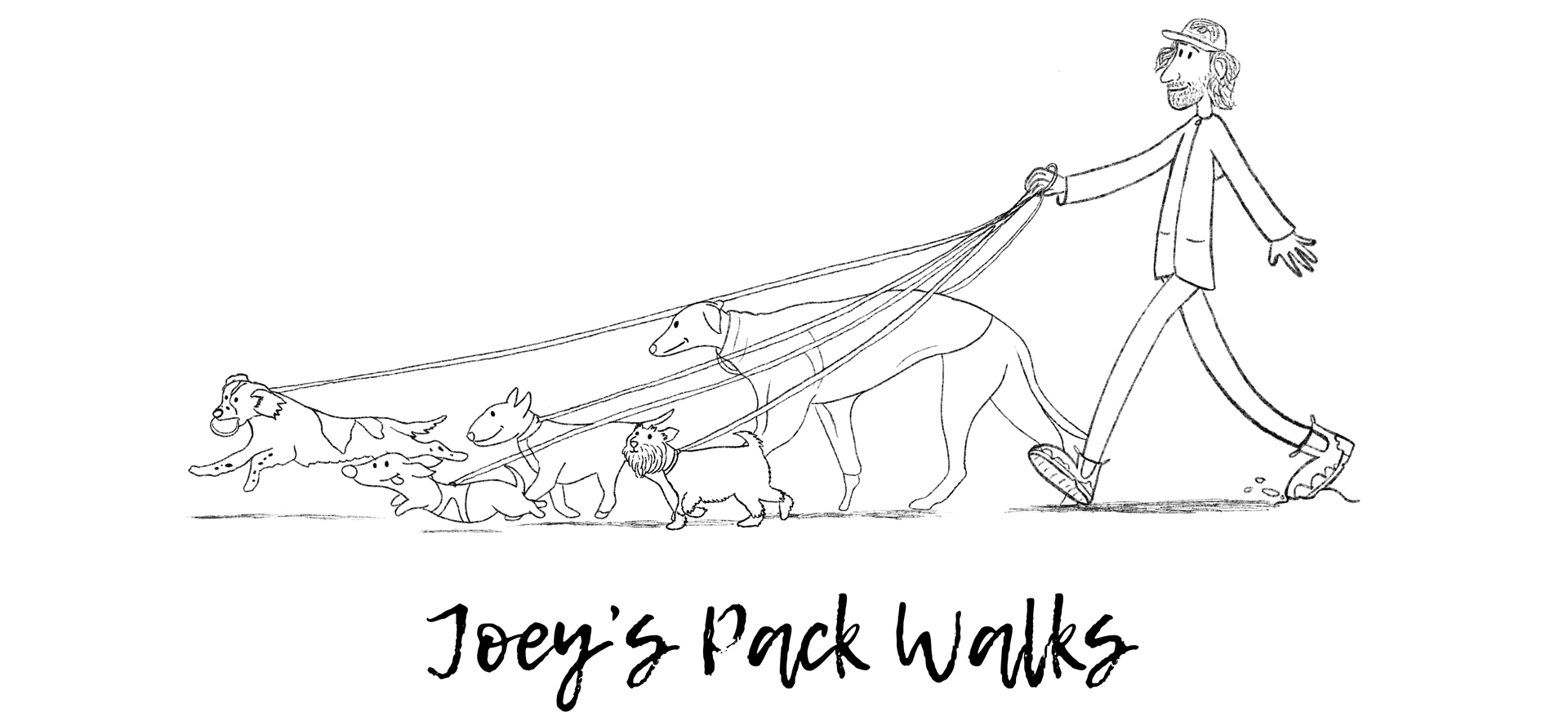 Joeys Pack Walks