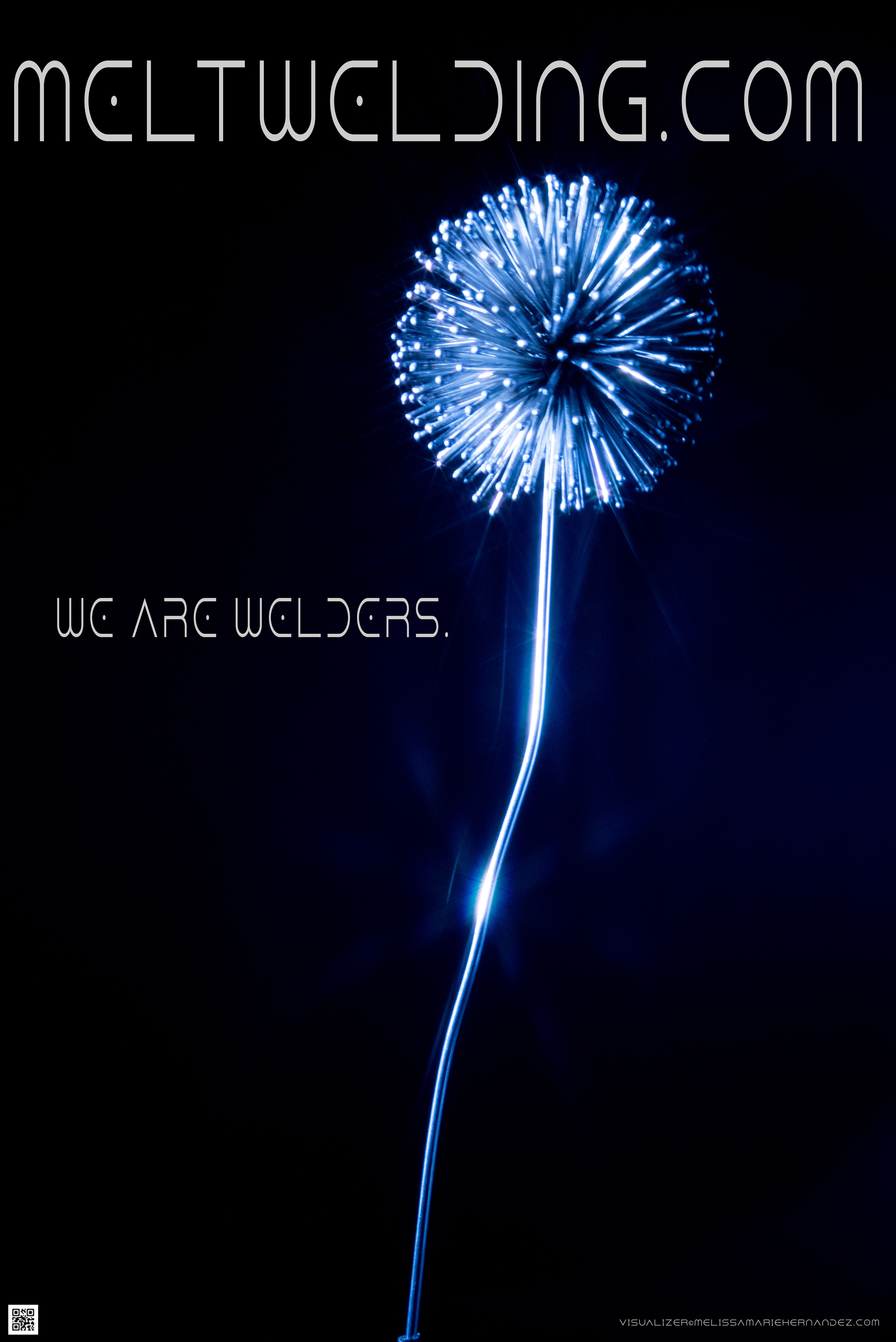 PHASES of SPRING LIONS.