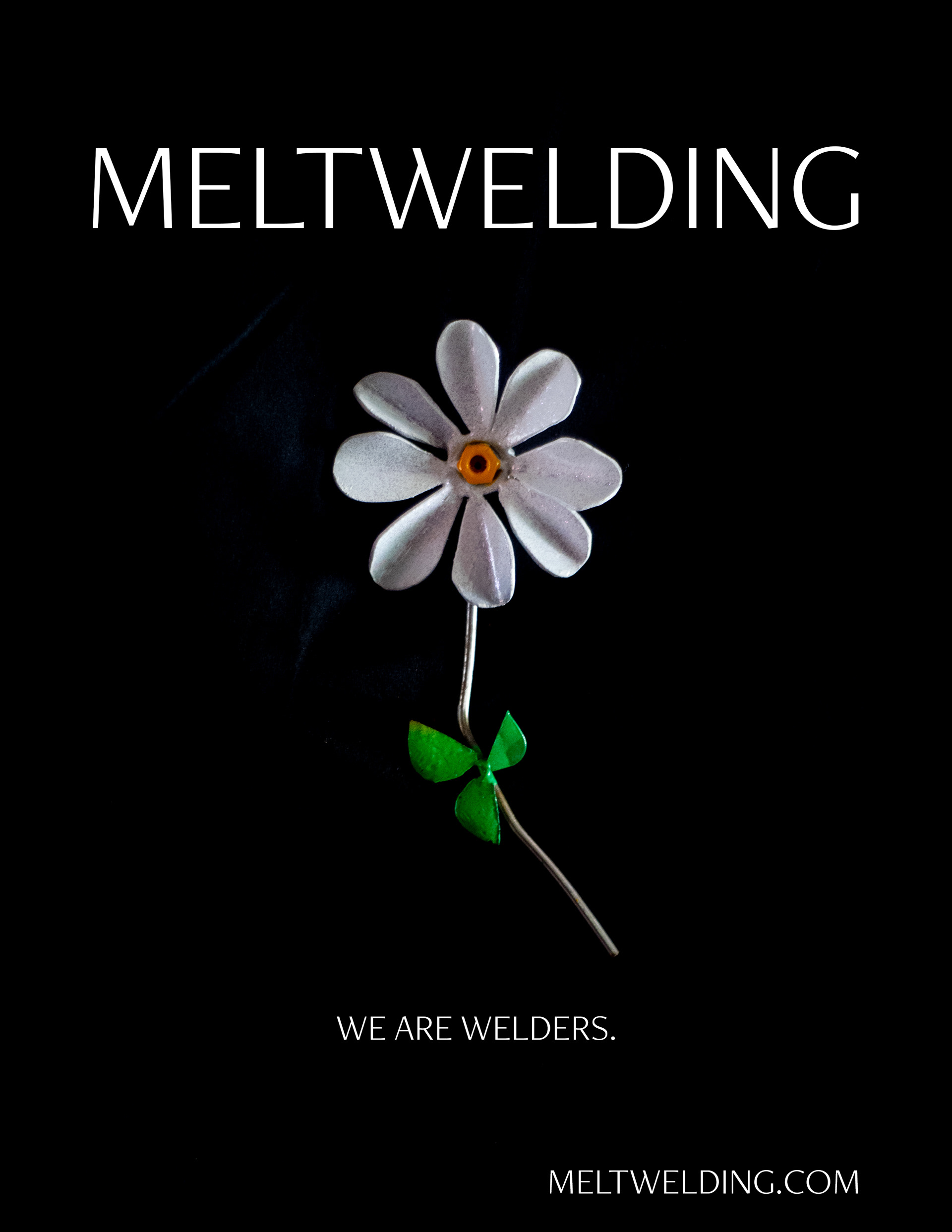 DAISY_SC_©MELTWELDING