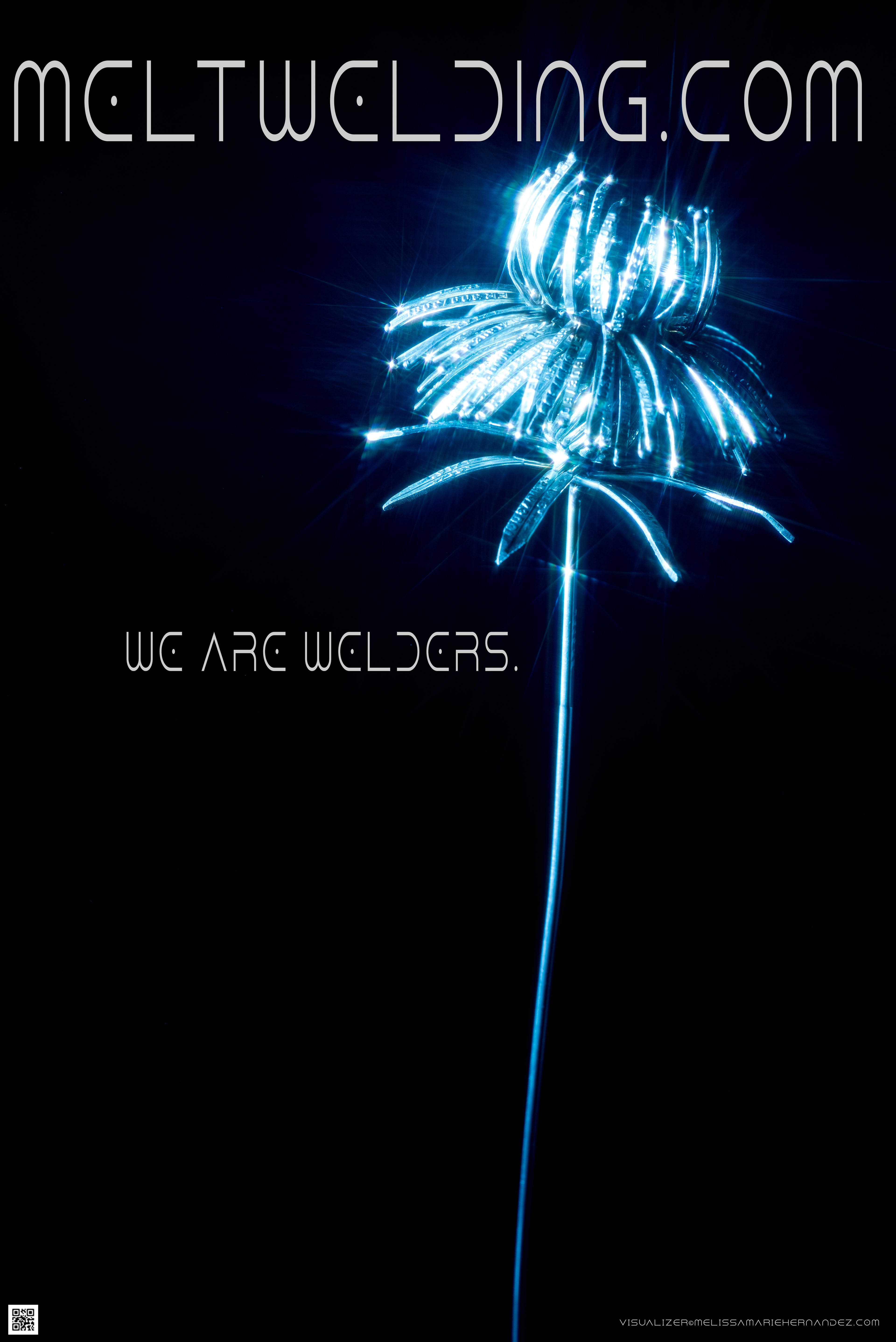 PHASES of SPRING LIONS.