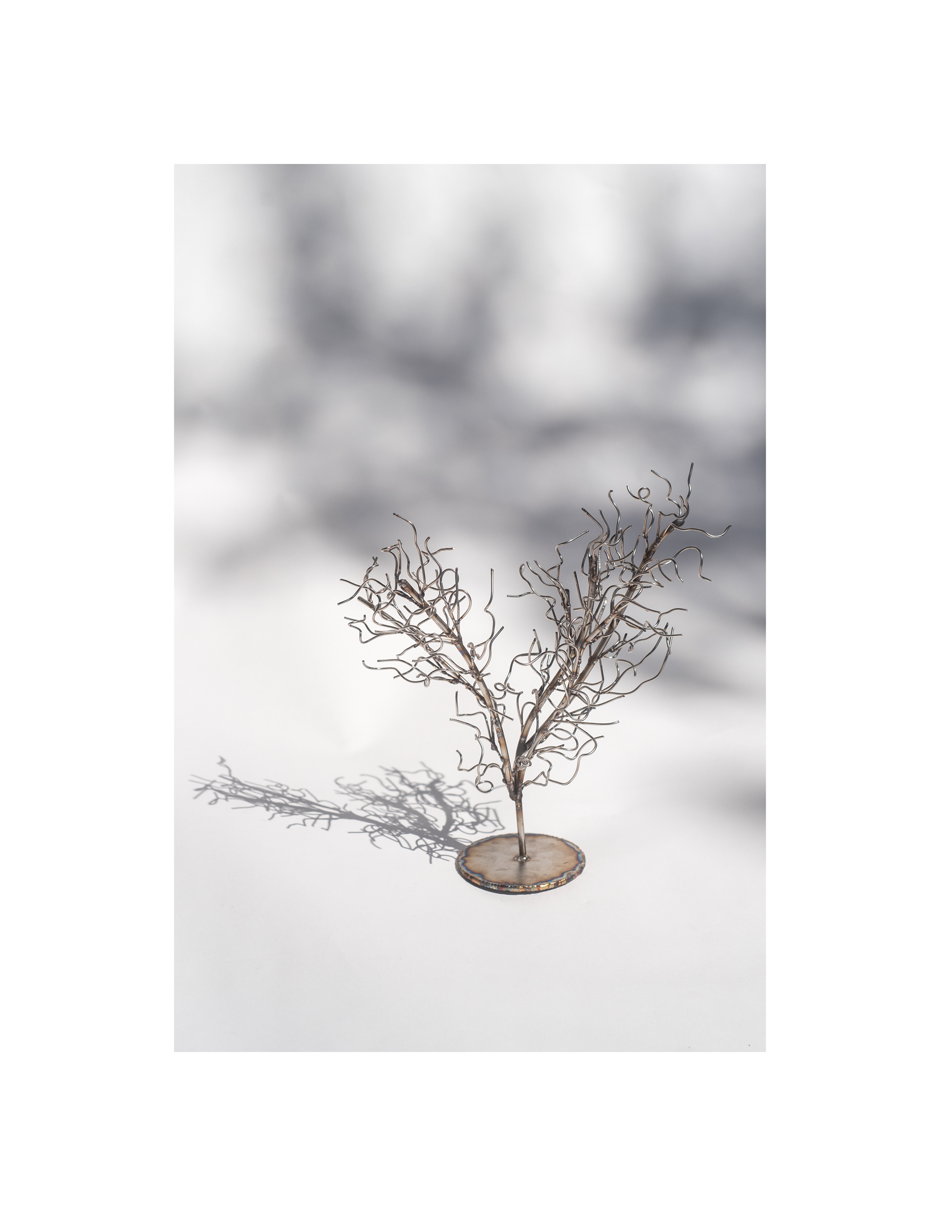 TREE 2629 ©MELTWELDING