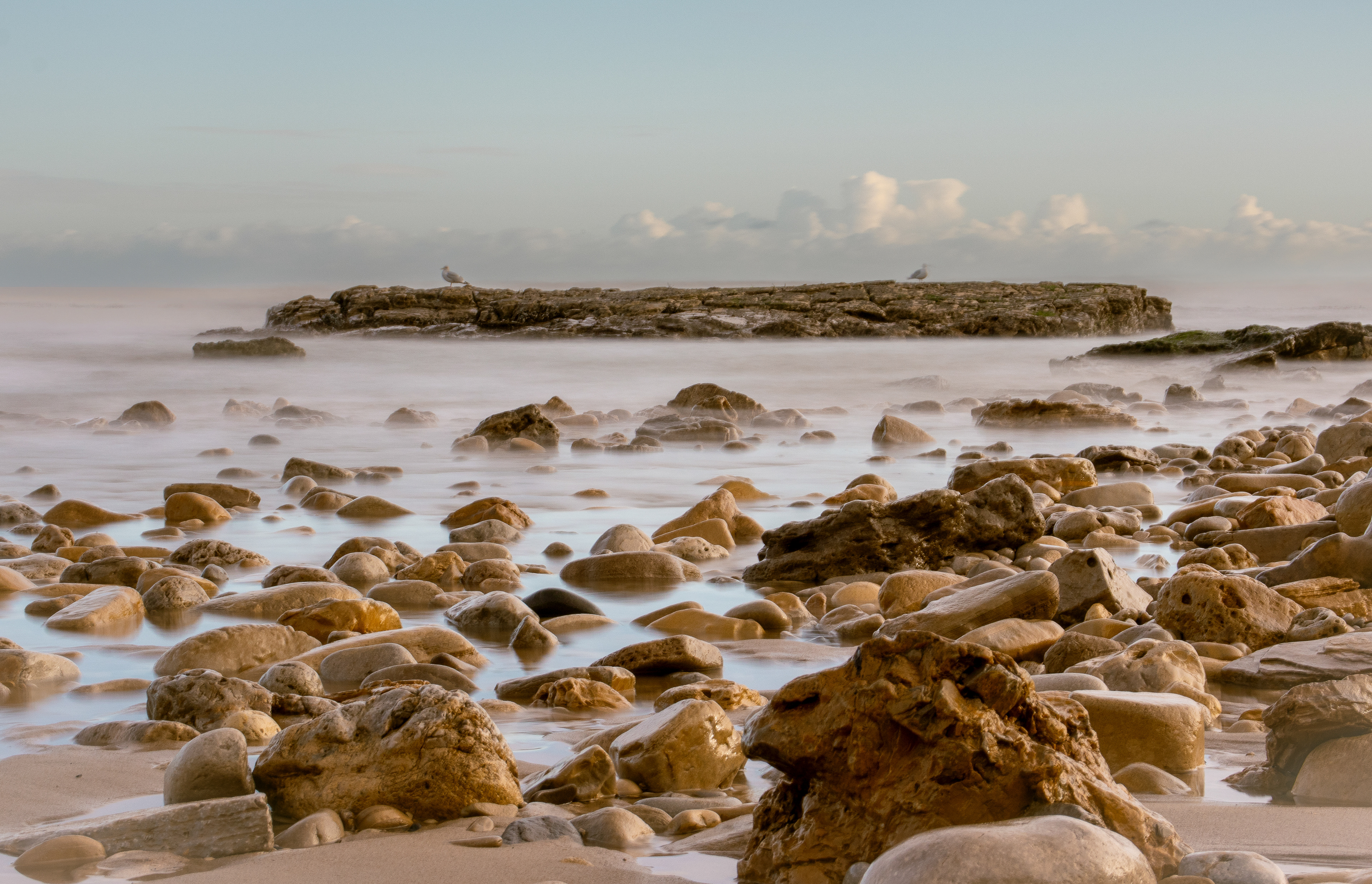 Seagulls On The Rocks, Marsden