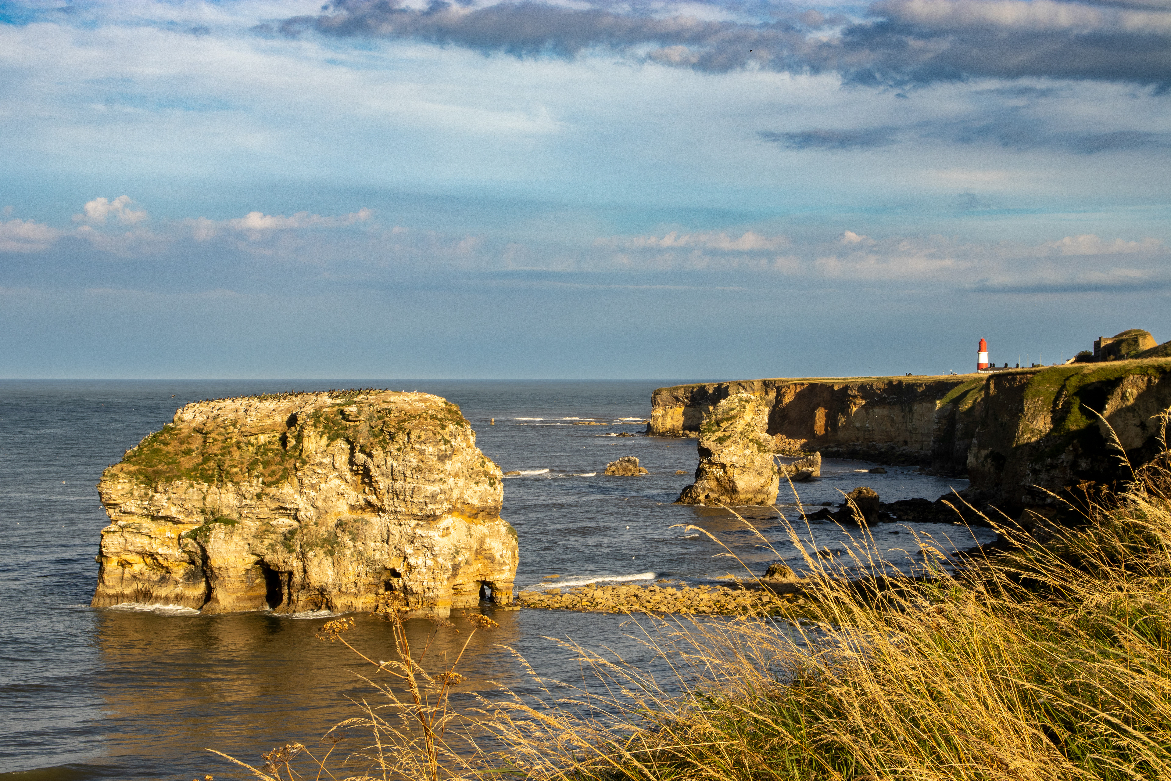 Marsden Rock
