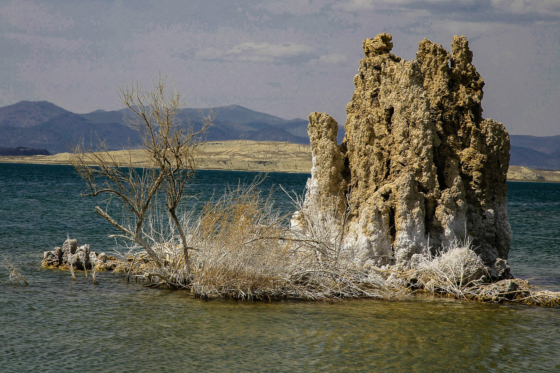 Nahe Lee Vining, California / USA