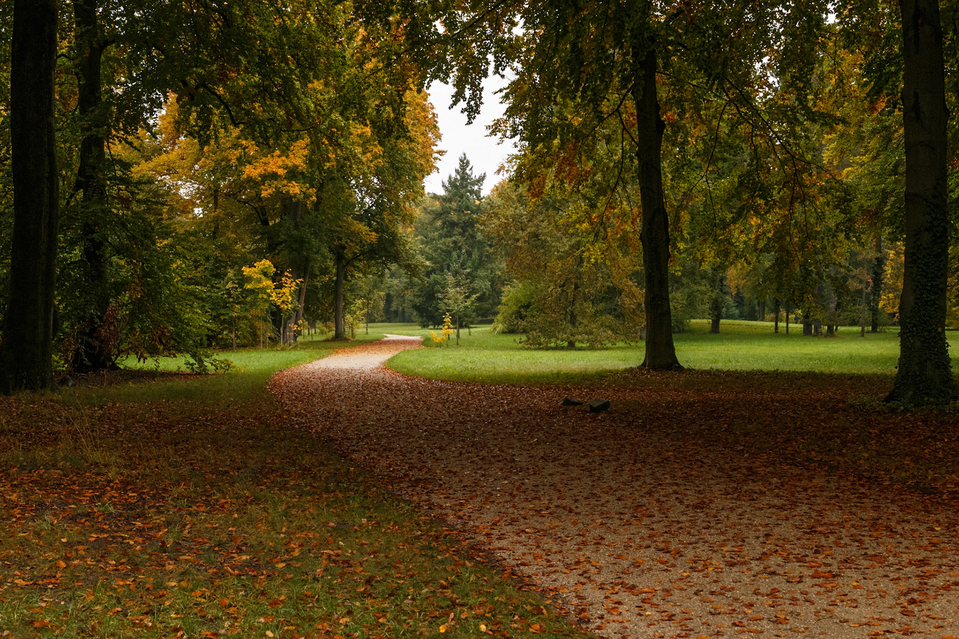 Herbstlicher Schlosspark Sanssouci