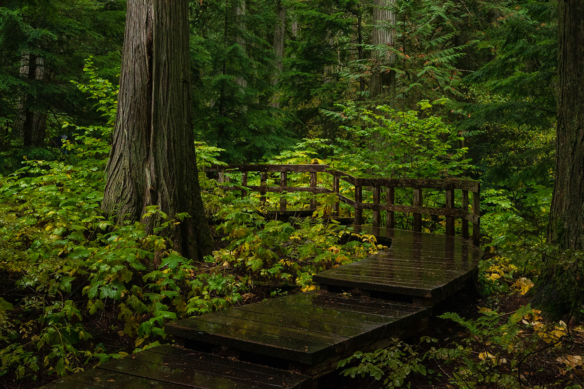 Mount Revelstoke National Park
