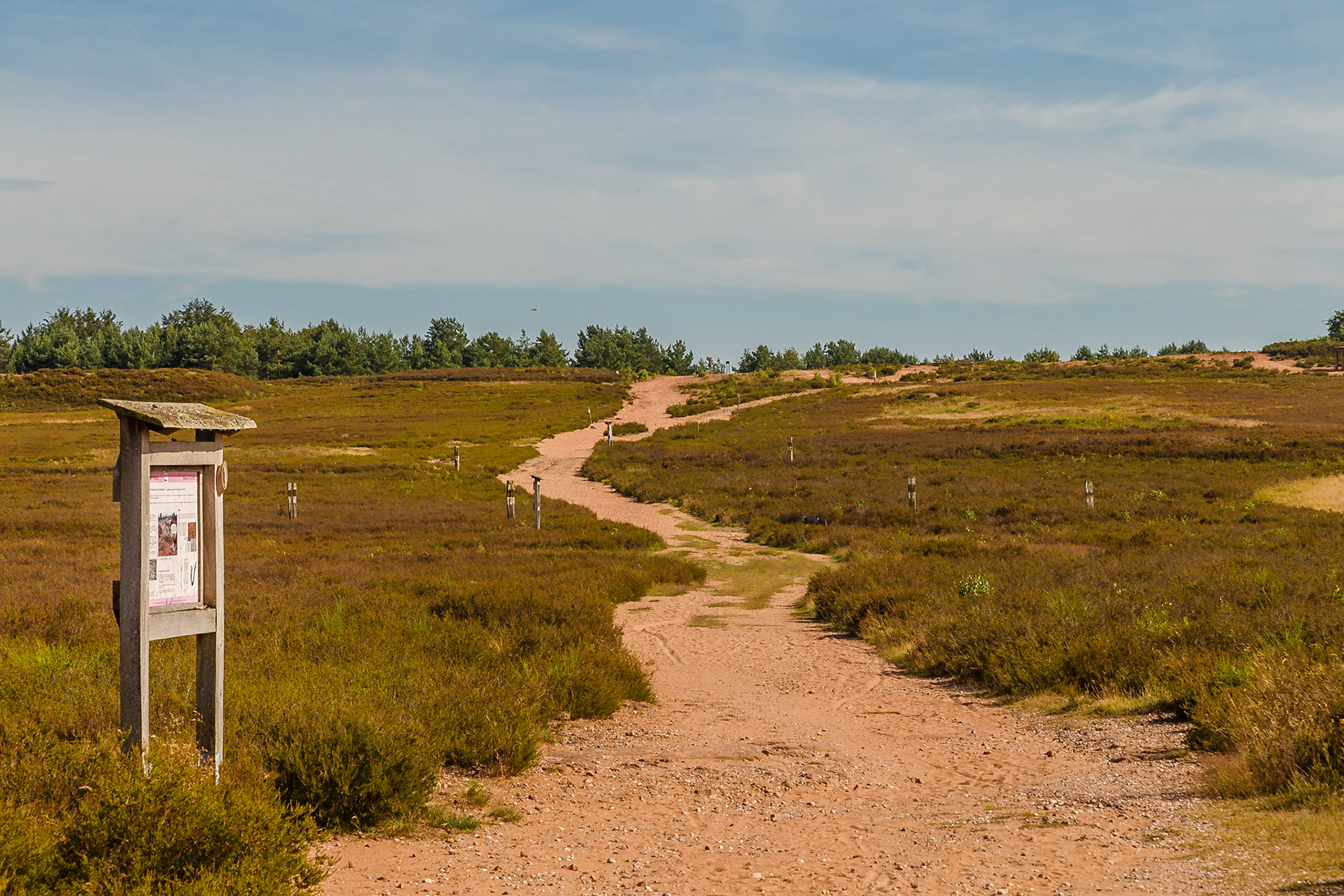 Mehlinger Heide